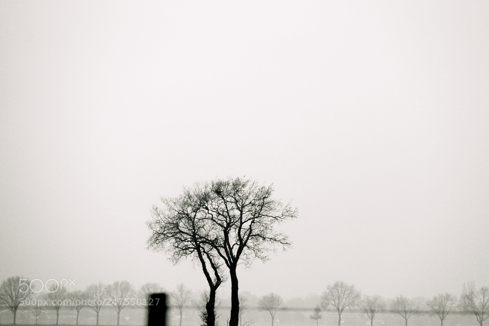 Canon EOS 50D sample photo. Zundert photography