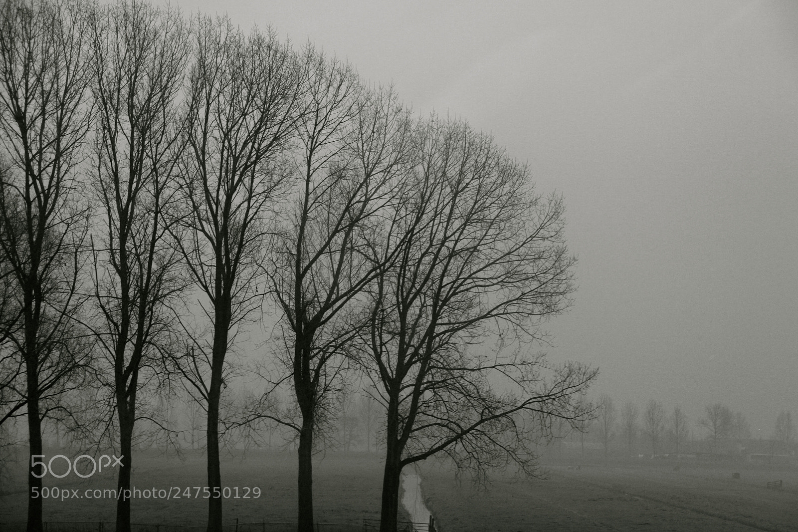 Canon EOS 50D sample photo. Zundert photography