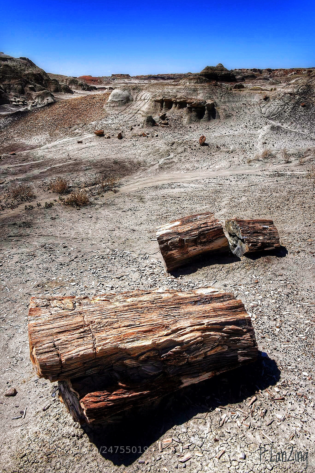 Nikon D810 sample photo. Bisti wilderness photography