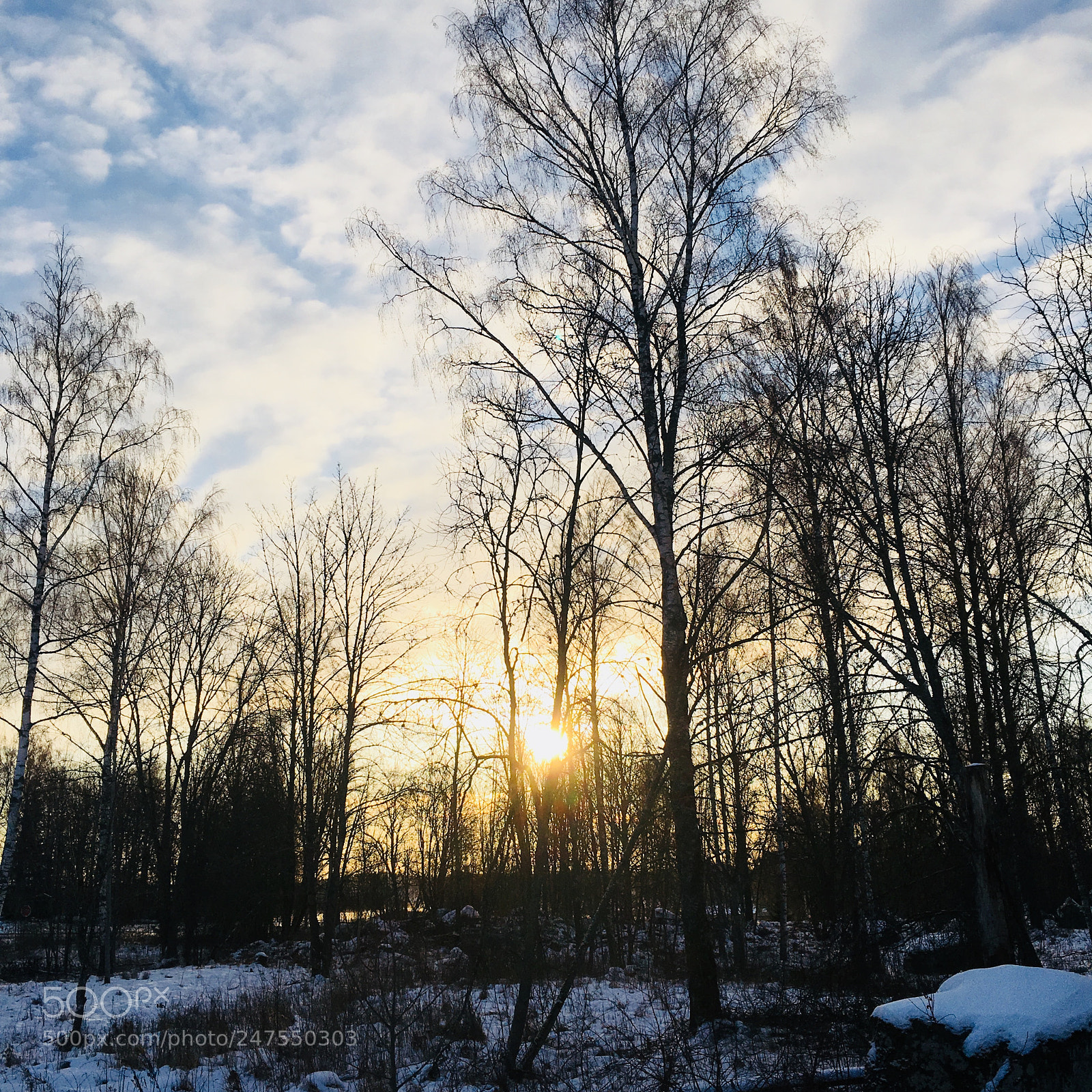 Apple iPhone 6s sample photo. Beautiful morning photography