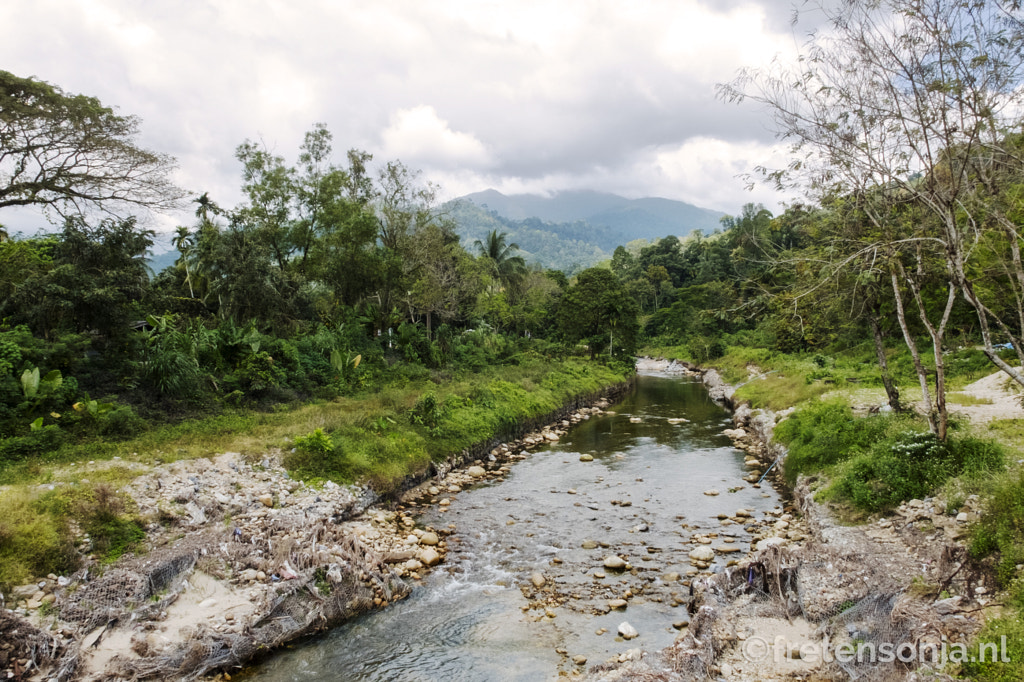  by www.fretensonja.nl on 500px.comDSCF5030