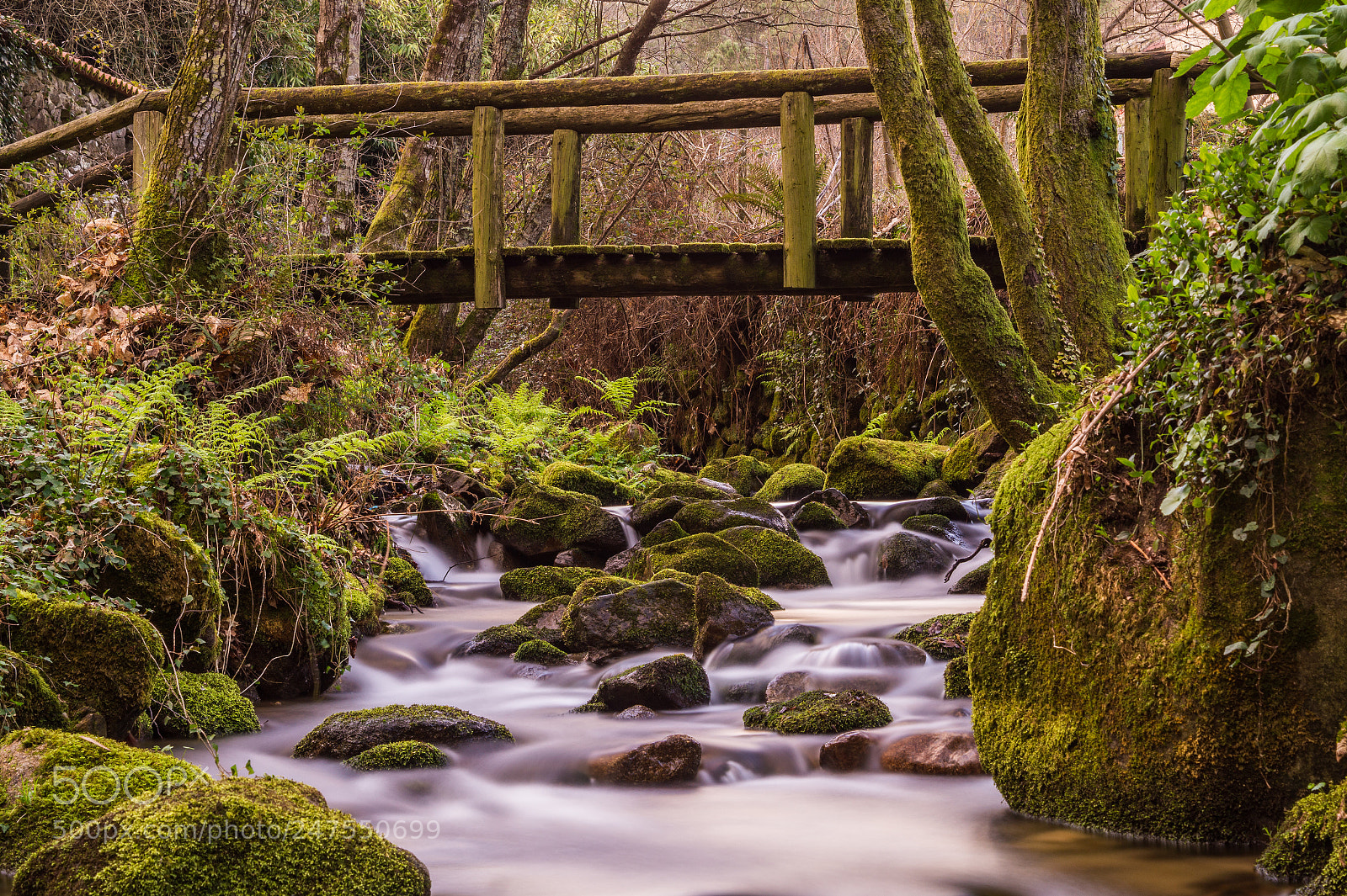 Sony SLT-A58 sample photo. Bridge over river photography