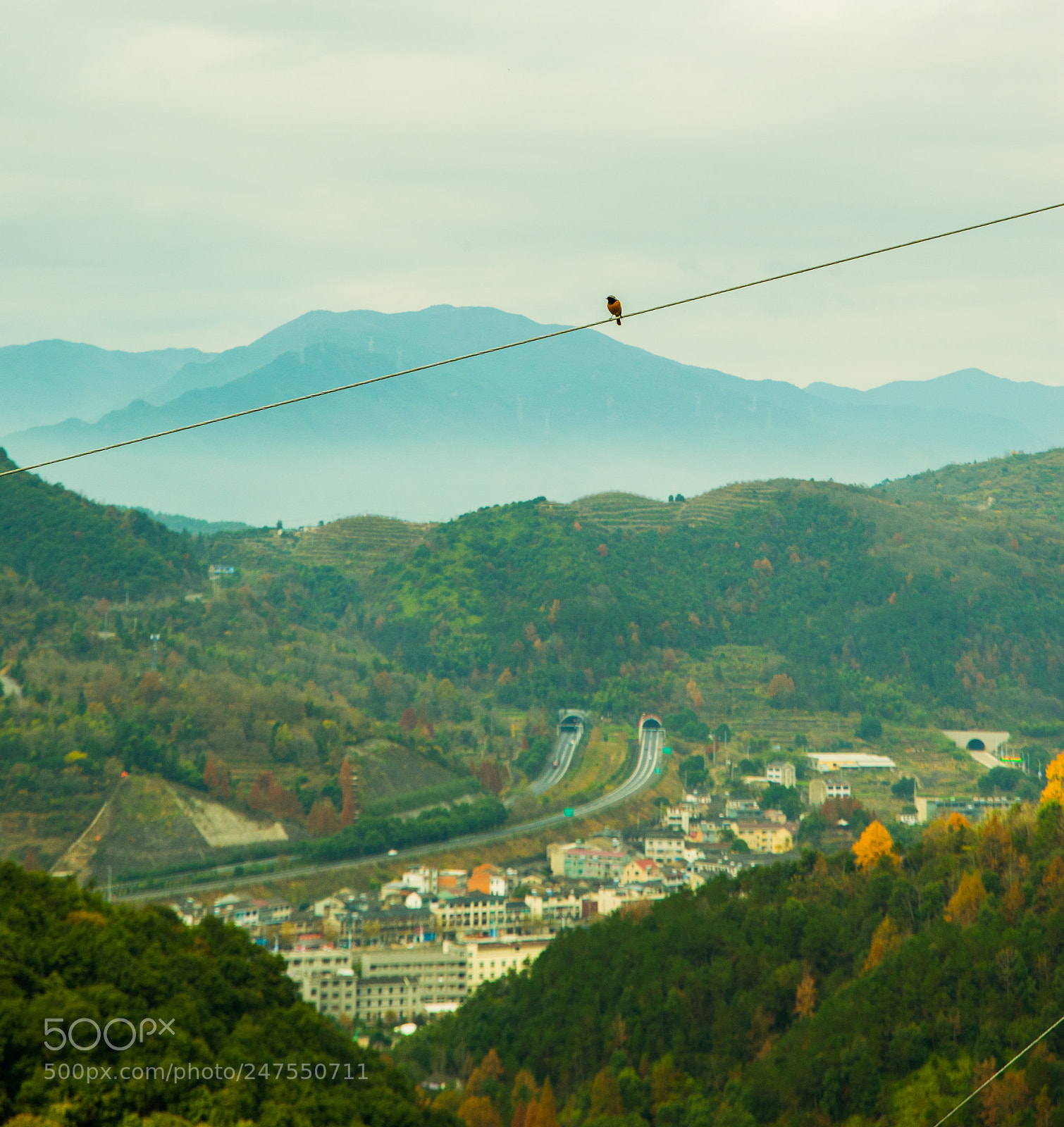 Nikon D610 sample photo. Untitled photography