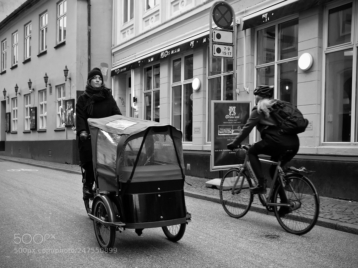 Fujifilm X-Pro2 sample photo. Child transporter photography