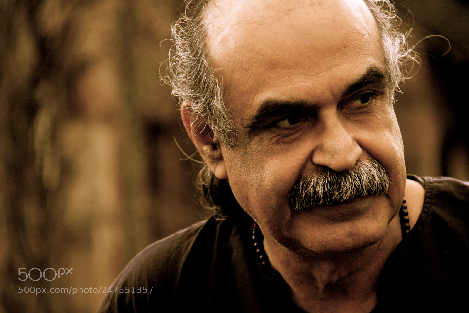 Canon EOS 50D sample photo. Heinrich boll الشاعر photography