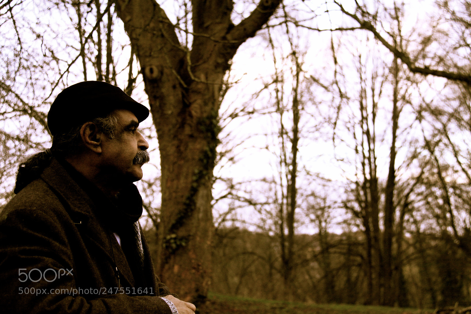 Canon EOS 50D sample photo. Heinrich boll   خائفات photography
