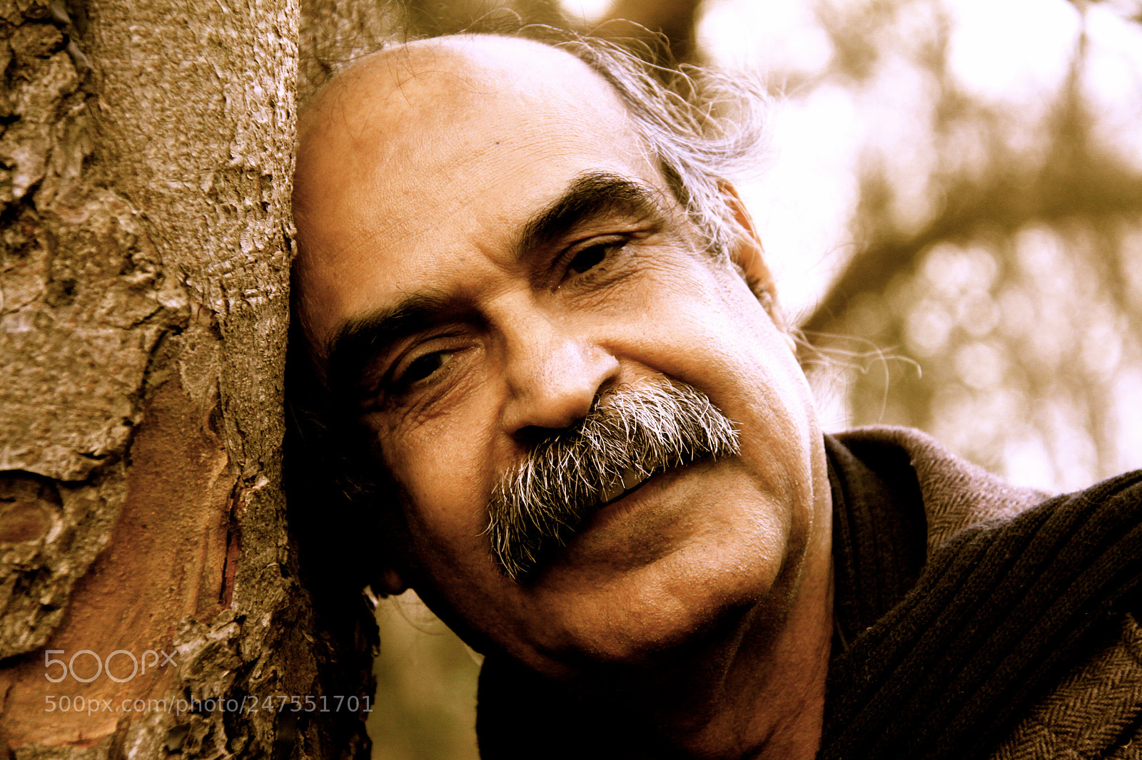 Canon EOS 50D sample photo. شجرة في الثمالة copy photography