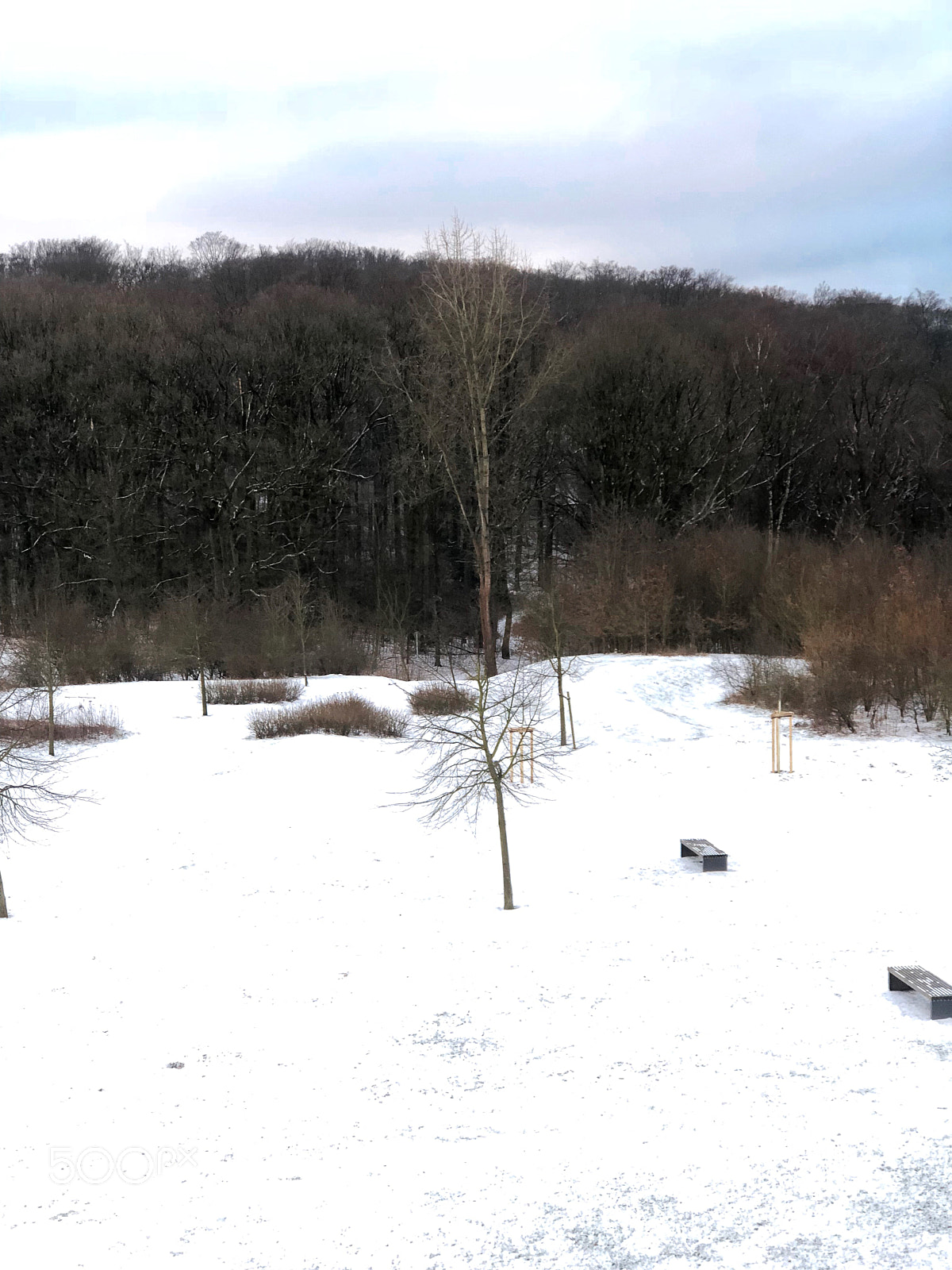 Apple iPhone 8 Plus sample photo. Winter photography