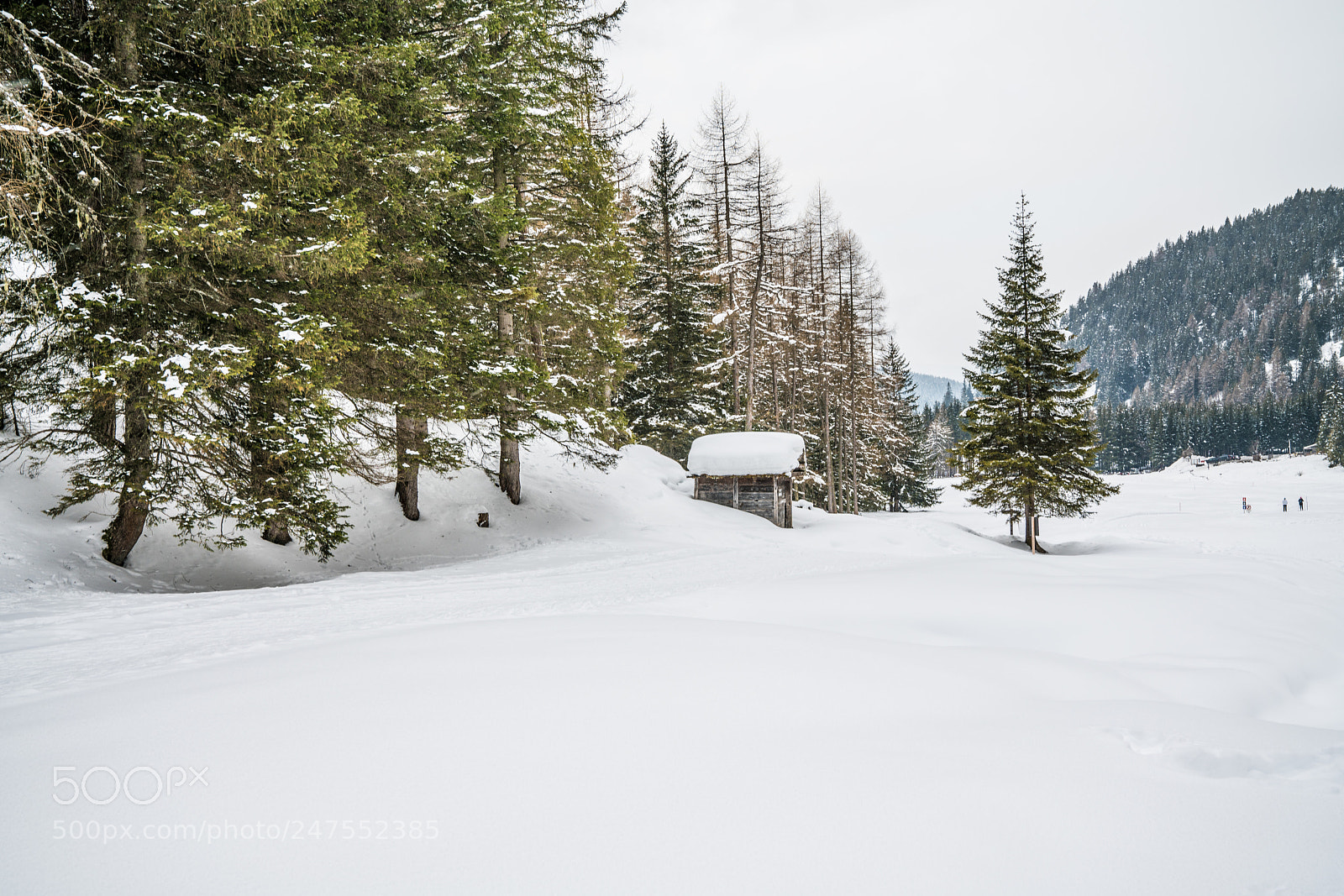 Sony a7R II sample photo. Langental bei wolkenstein photography