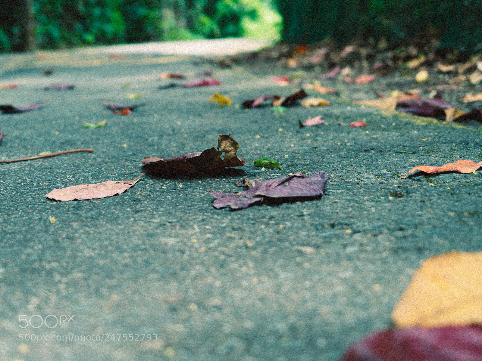 Sony a7 II sample photo. Untitled photography