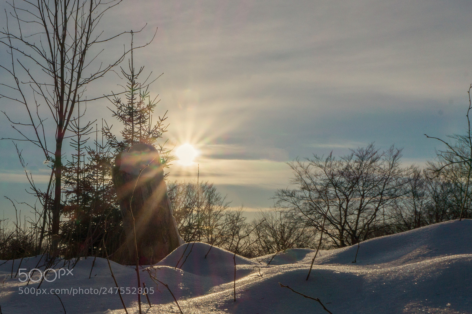 Sony Alpha a3000 sample photo. Winterwonderland photography