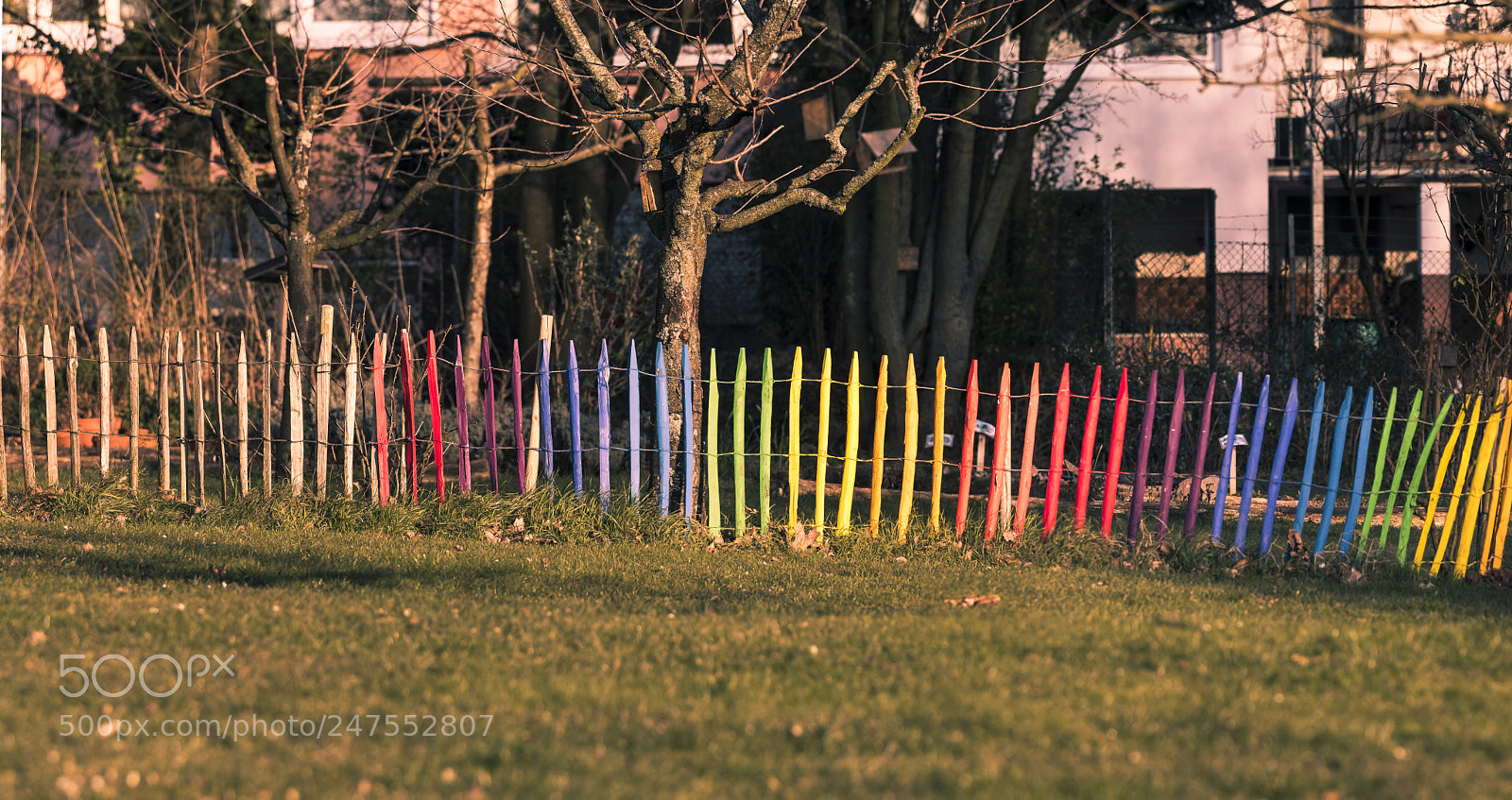 Olympus OM-D E-M5 II sample photo. Colored fence photography