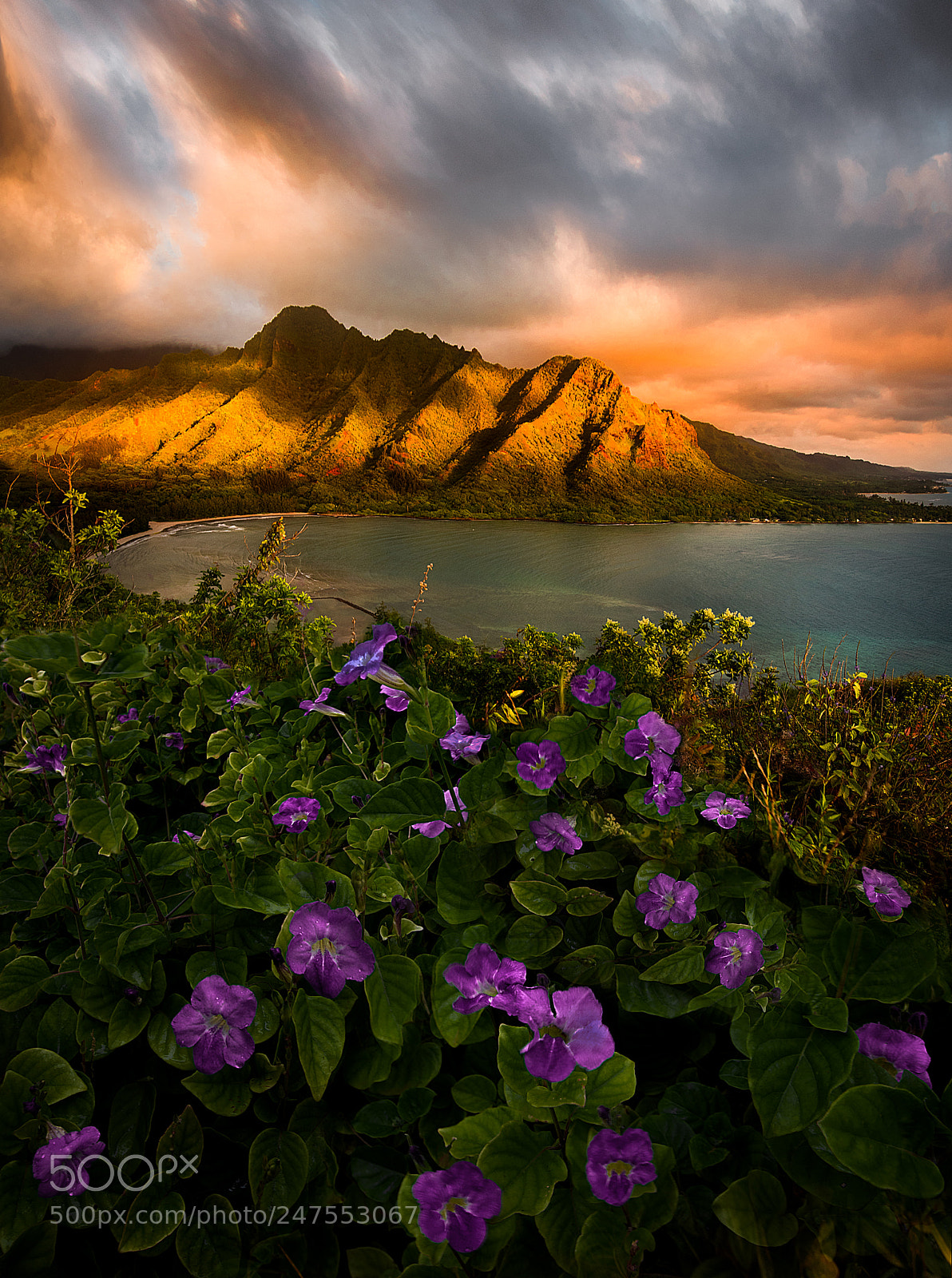 Nikon D810 sample photo. Day break photography