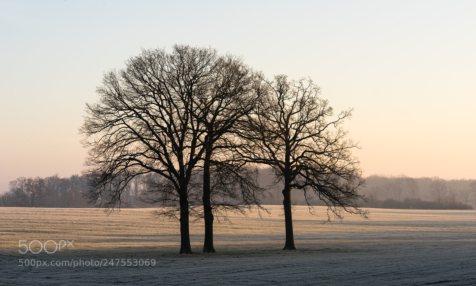 Sony a7 sample photo. Waiting for the sun photography