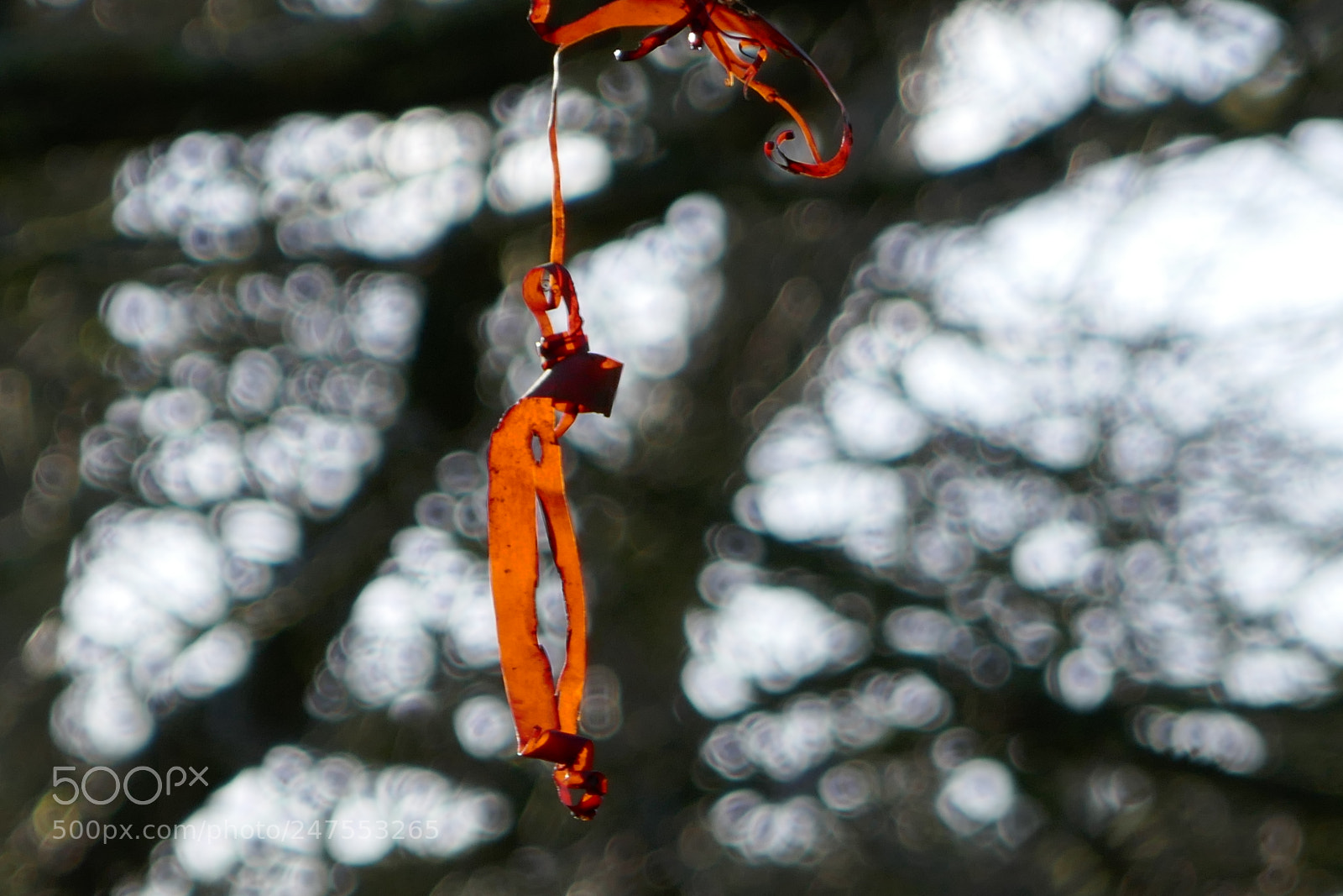 Panasonic Lumix DMC-ZS100 (Lumix DMC-TZ100) sample photo. Bark on fire photography