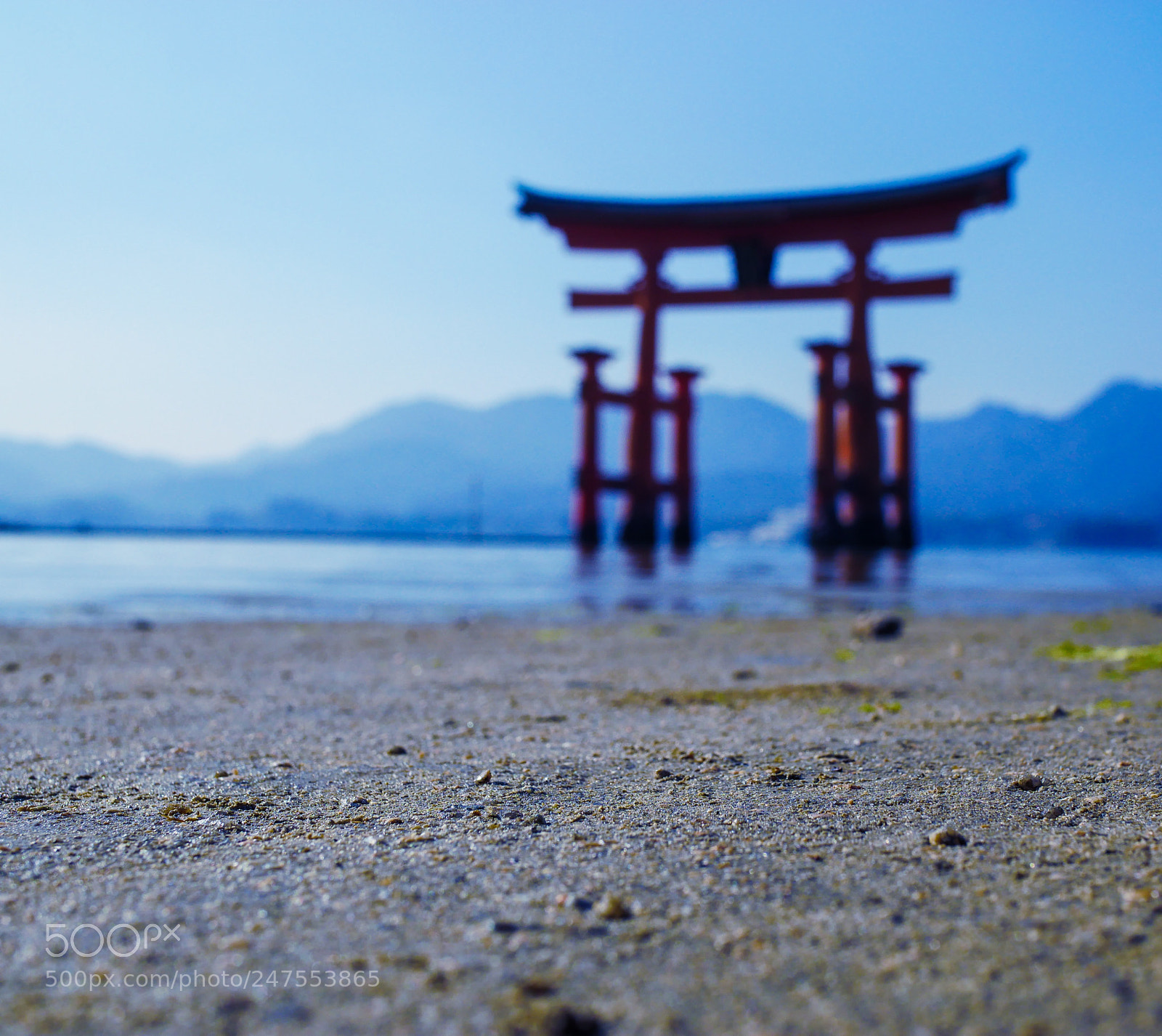 Panasonic Lumix DMC-G85 (Lumix DMC-G80) sample photo. Miyajima photography