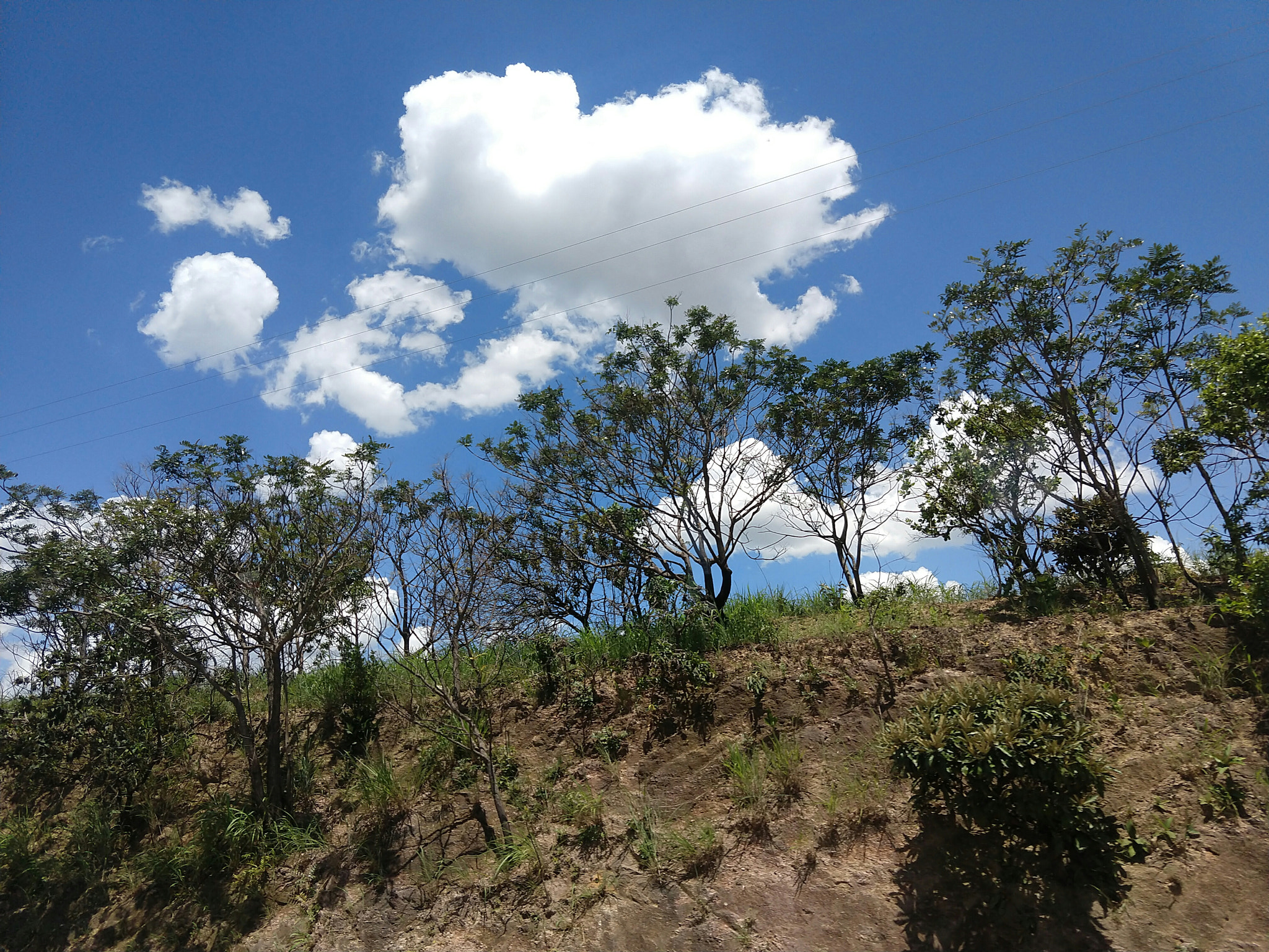 Motorola moto x4 sample photo