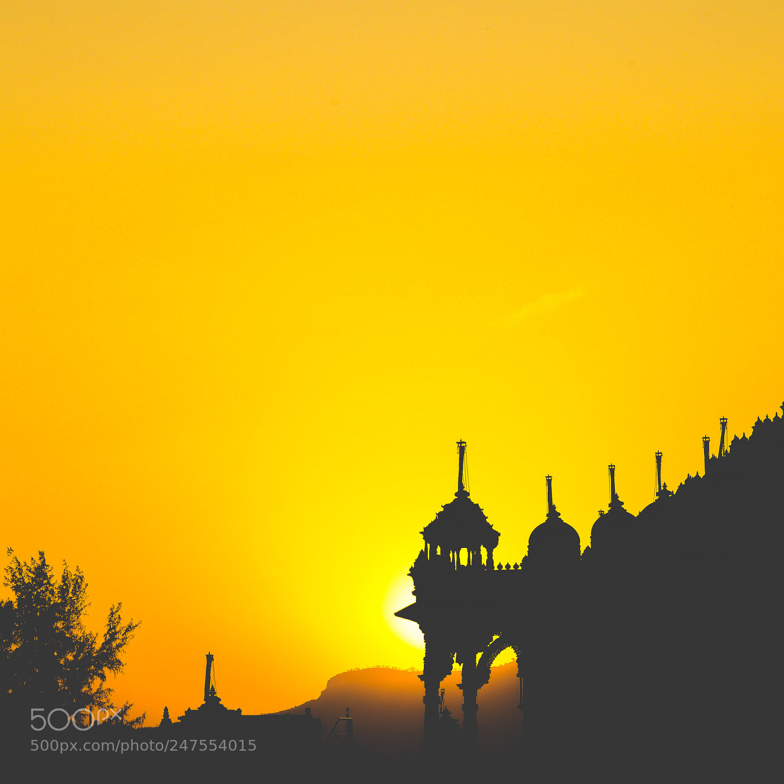 Nikon D3X sample photo. India photography