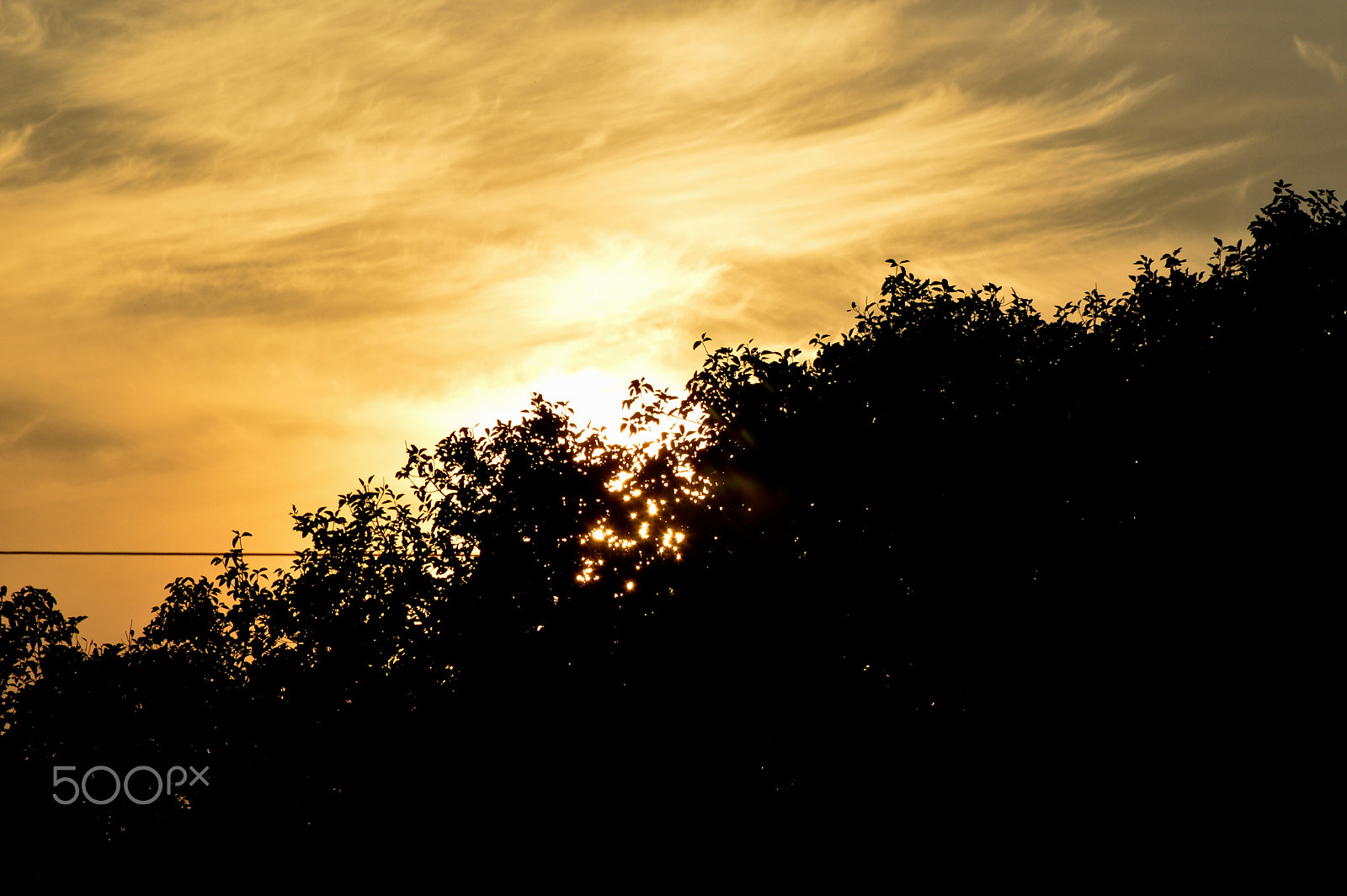 Nikon D3200 sample photo. Sunset and the banyan... photography