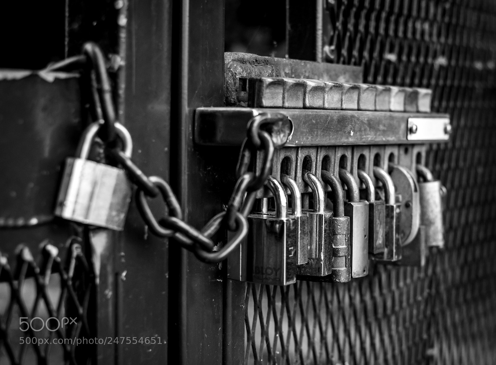 Nikon D810 sample photo. Locked in photography