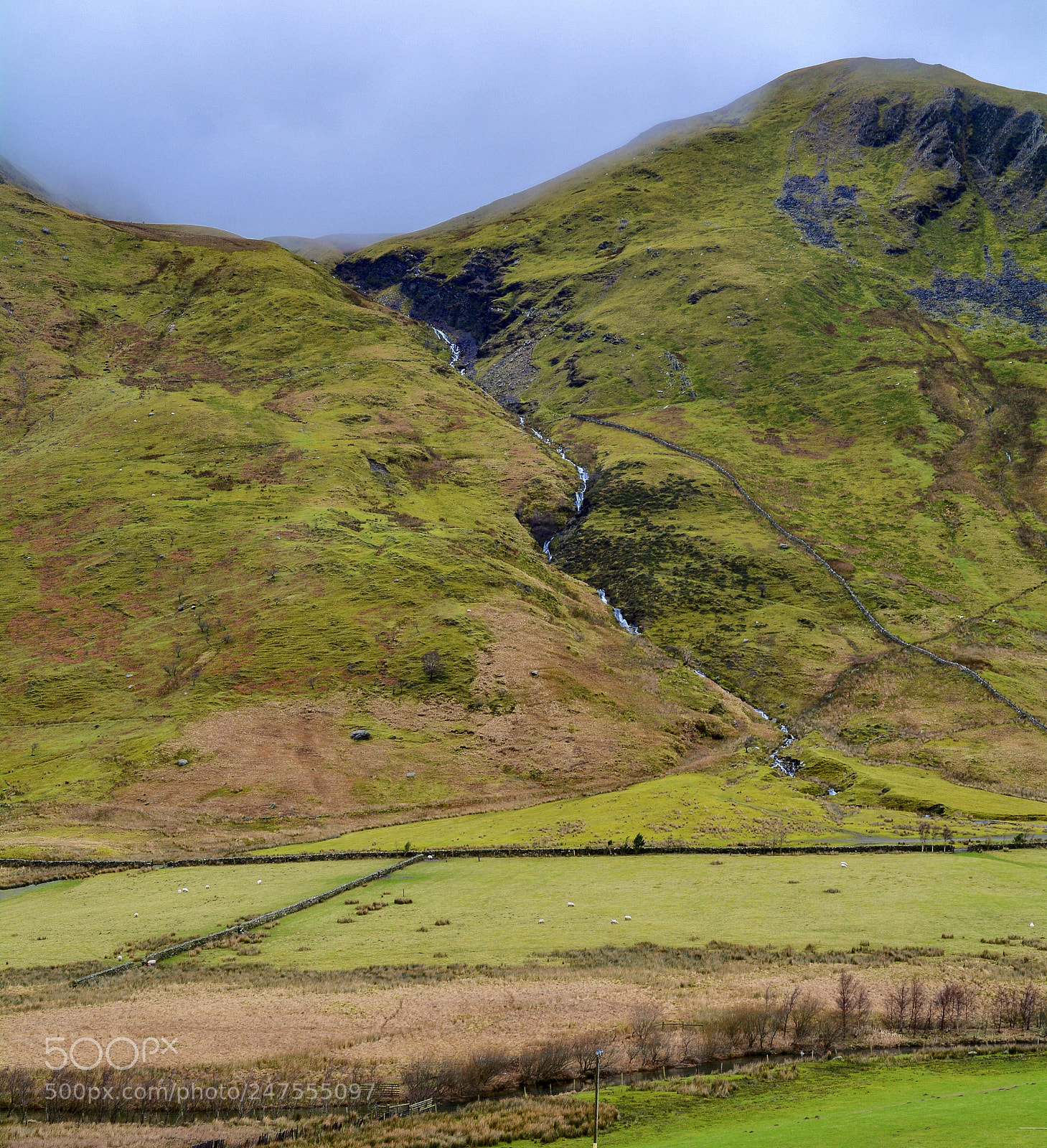 Nikon D5200 sample photo. Falling photography