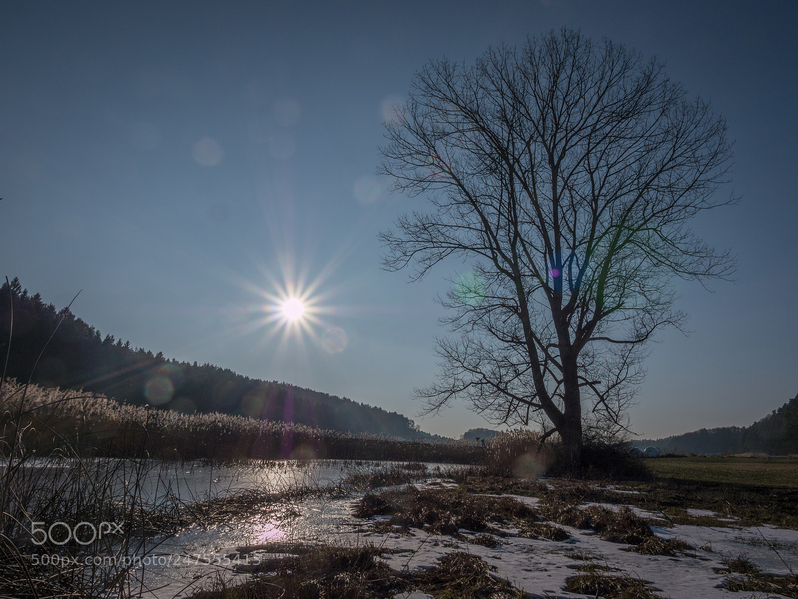 Panasonic Lumix DMC-GX8 sample photo. Abendstimmung - evening mood photography