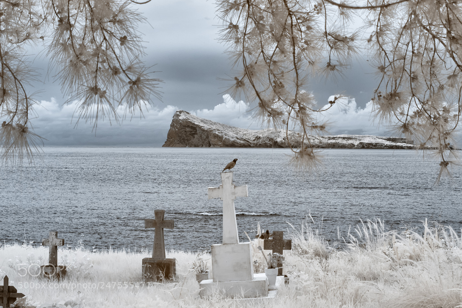 Canon EOS 600D (Rebel EOS T3i / EOS Kiss X5) sample photo. Cap malheureux cemetery photography