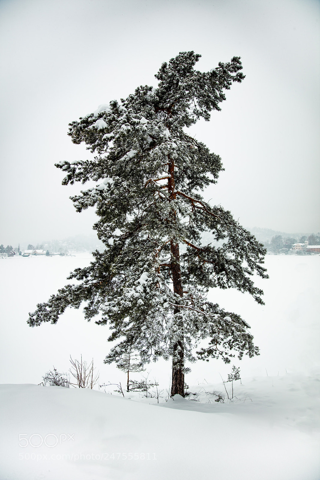 Canon EOS 5DS R sample photo. Ensom tre photography