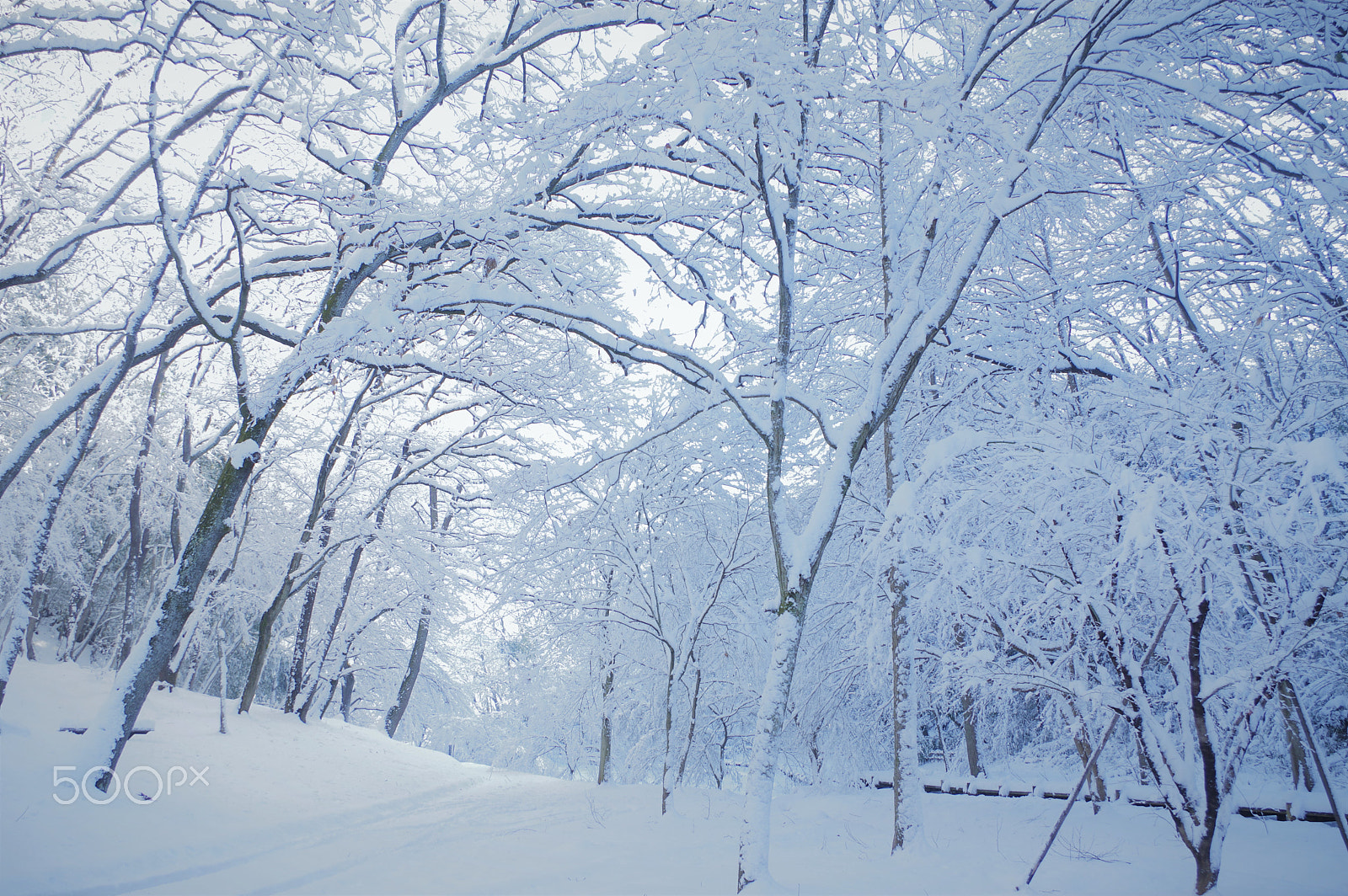 smc PENTAX-DA L 18-55mm F3.5-5.6 sample photo. Snow art photography