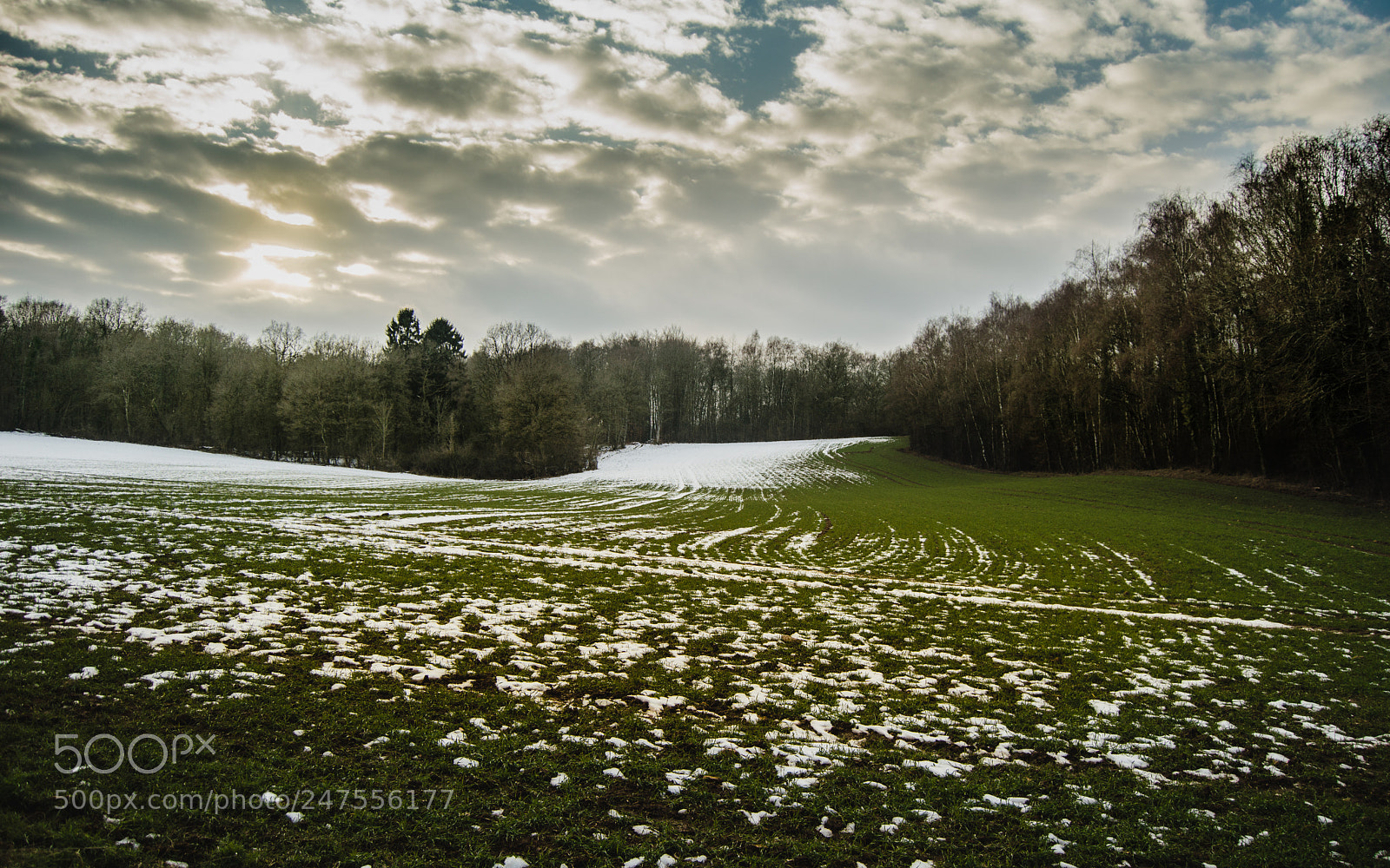 Nikon D3200 sample photo. Le campagne photography
