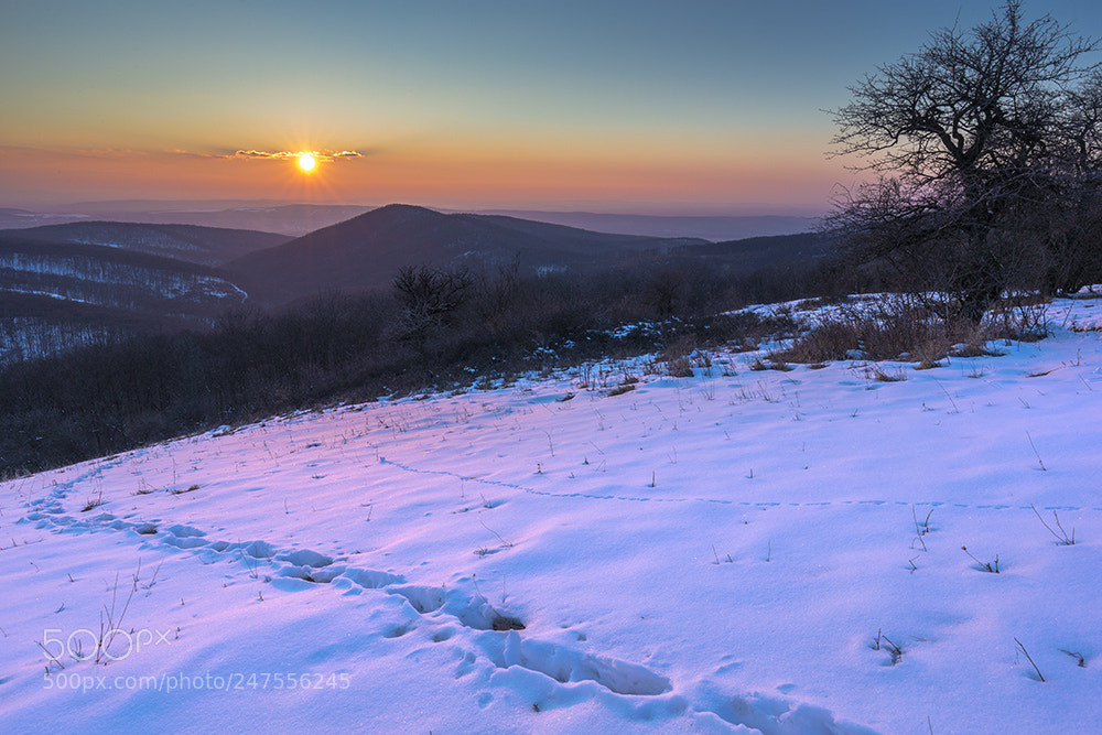 Canon EOS-1D X sample photo. Snow-capped sunset photography