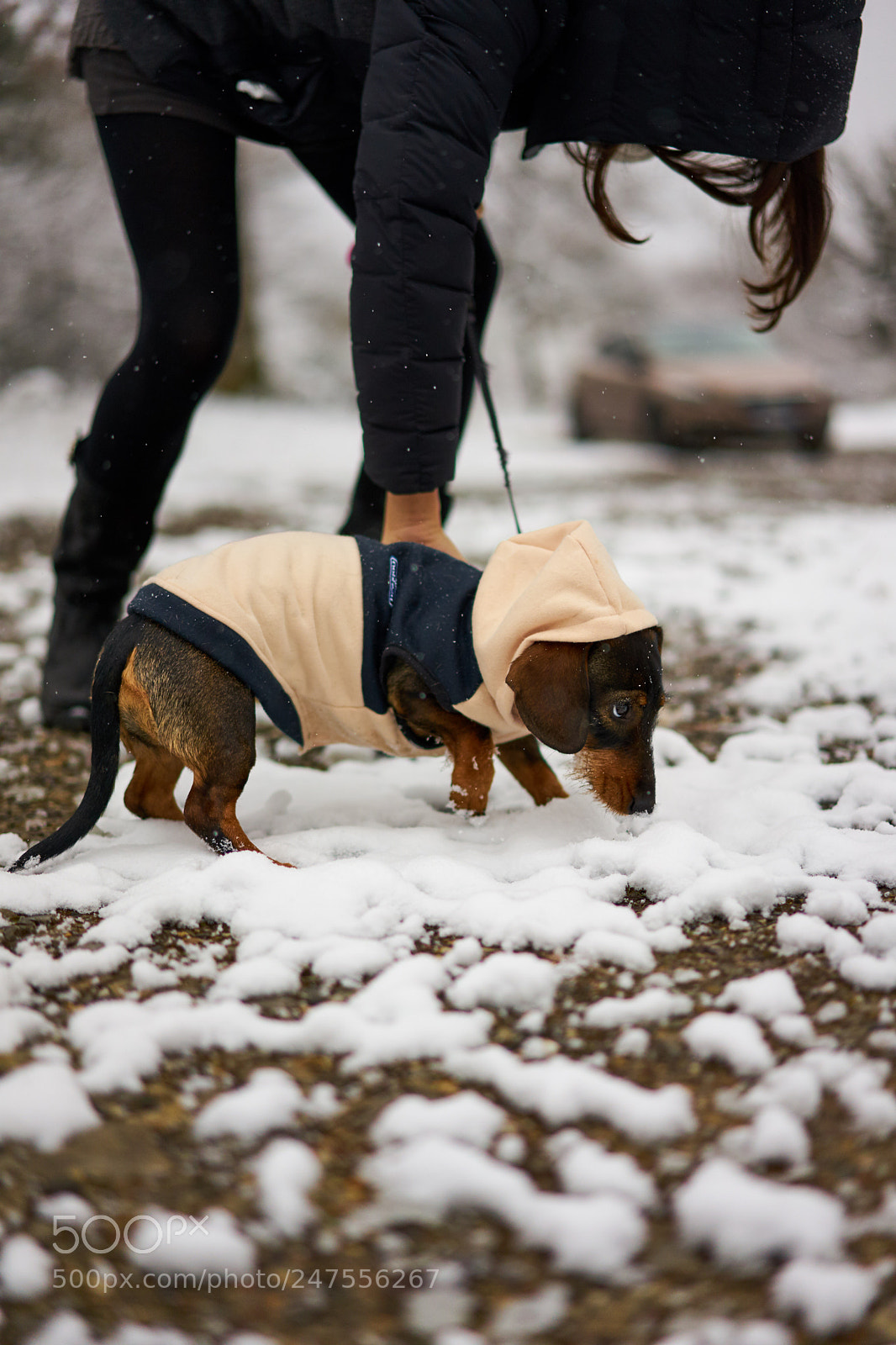 Sony a7 II sample photo. My first snow ? photography