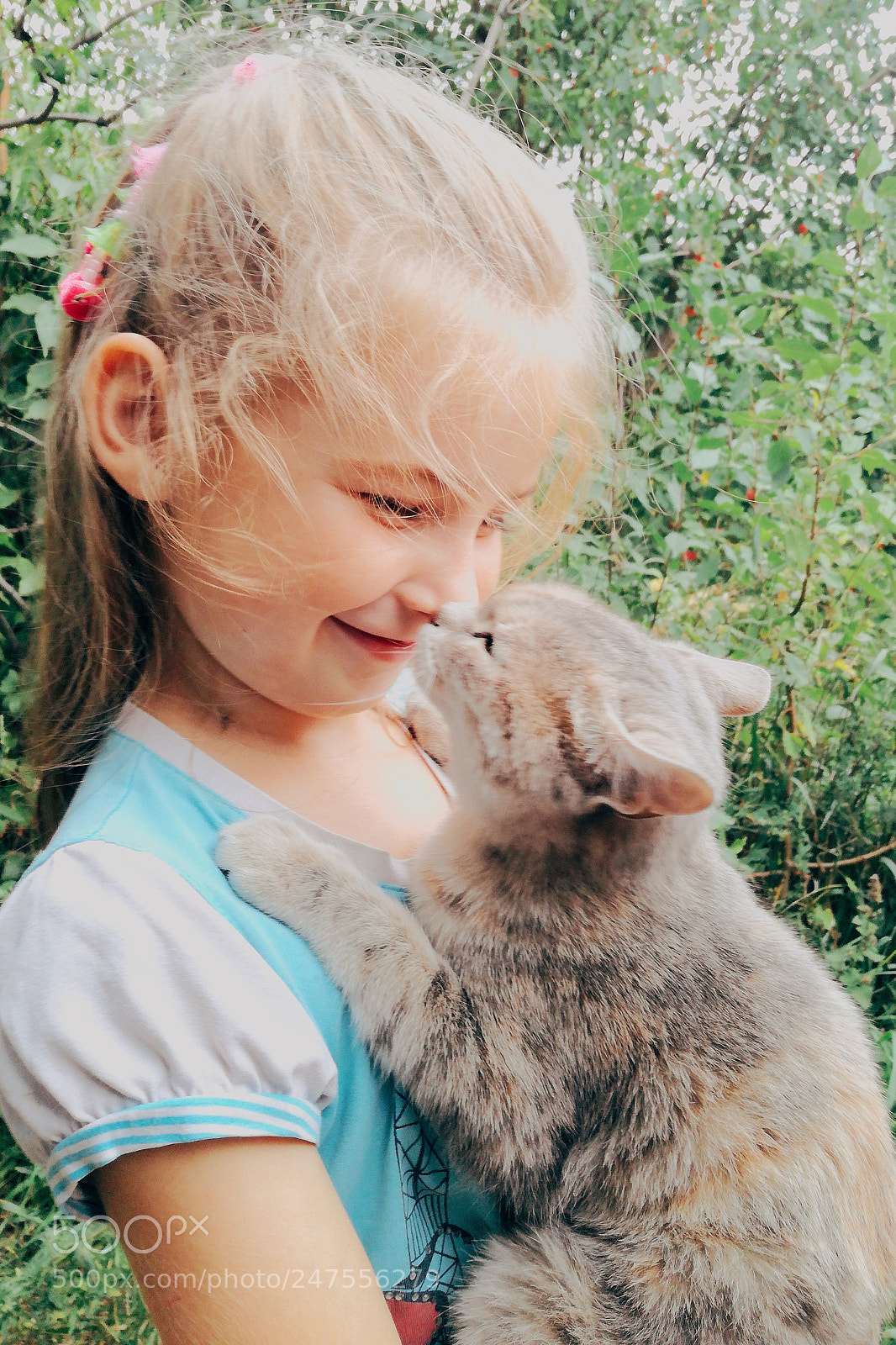 HUAWEI P9 LITE sample photo. Dasha and her cat. photography