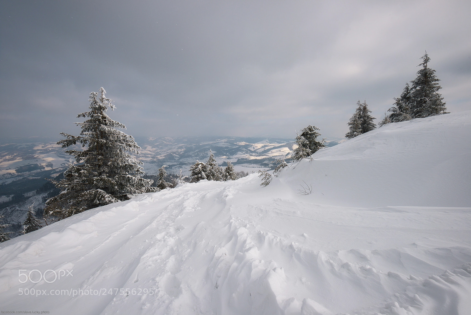 Nikon D610 sample photo. Snowland photography