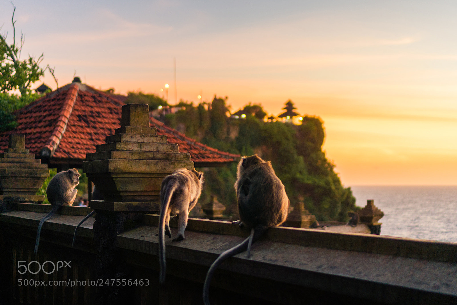 Sony Alpha NEX-6 sample photo. Uluwatu temple photography