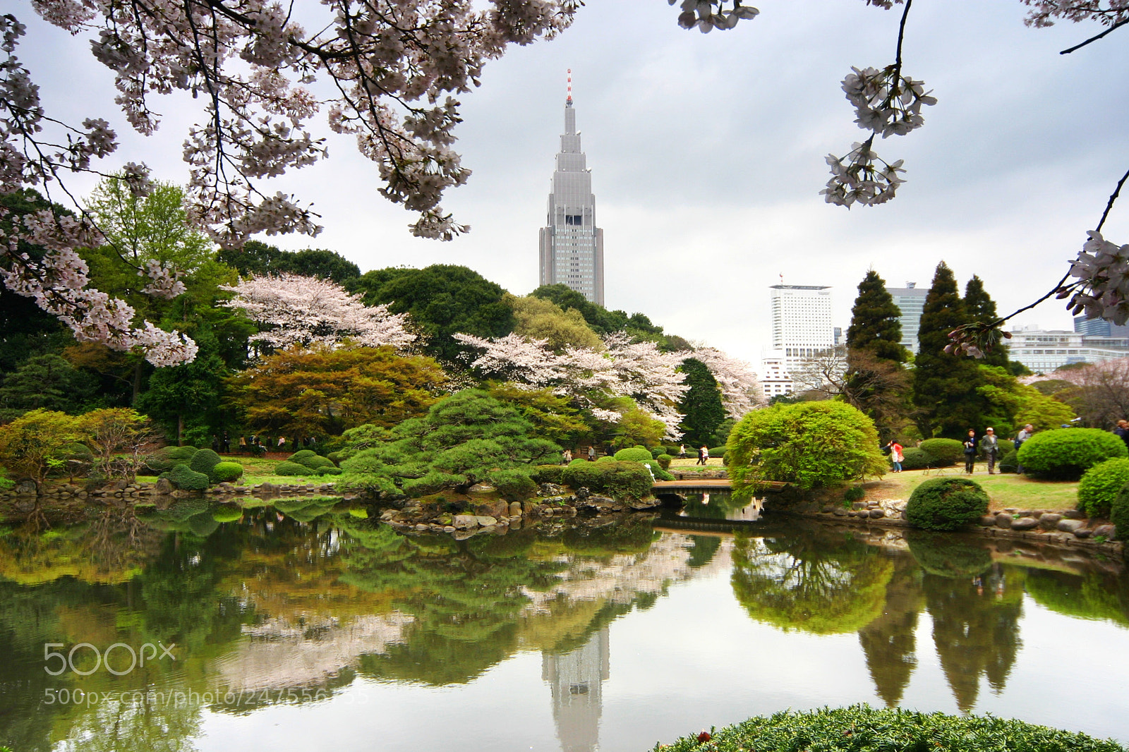 Canon EOS 300D (EOS Digital Rebel / EOS Kiss Digital) sample photo. Spring in shinjuku gyoen photography