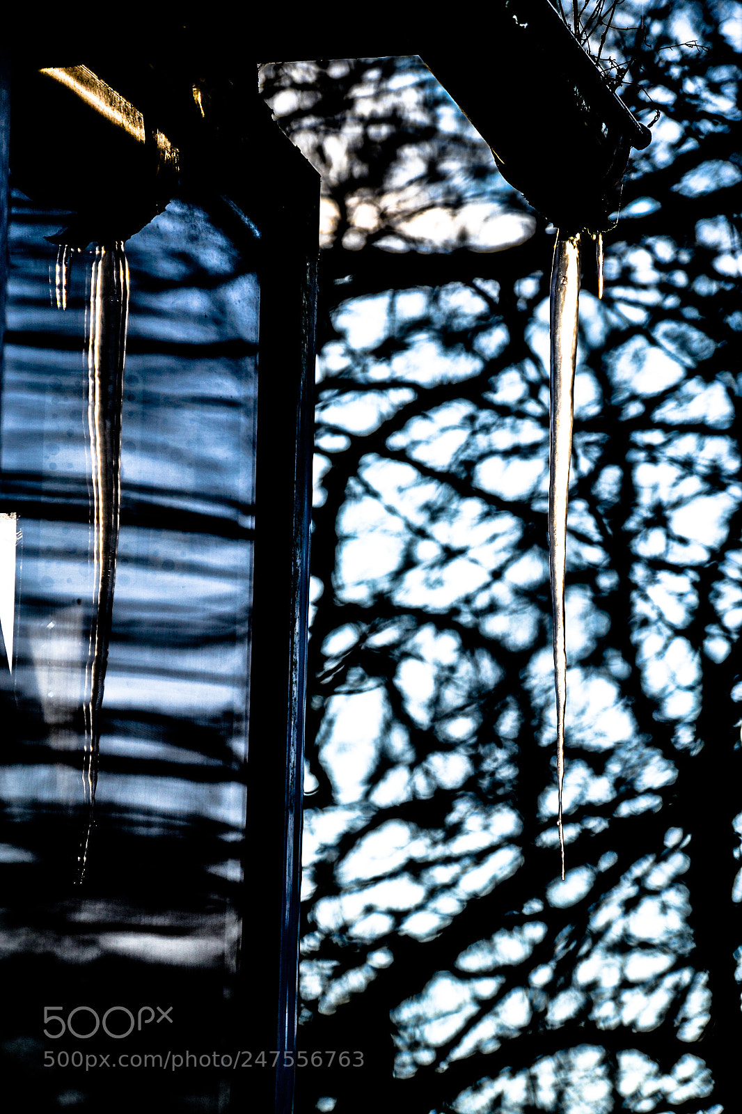 Nikon D3100 sample photo. Algide riflessioni photography