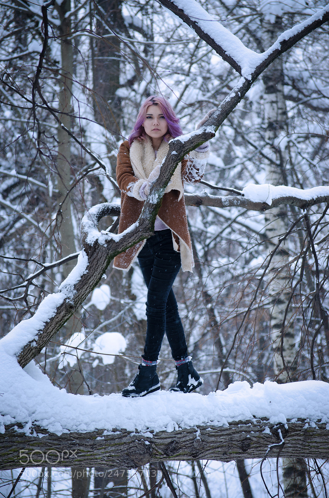 Nikon D5100 sample photo. Untitled photography