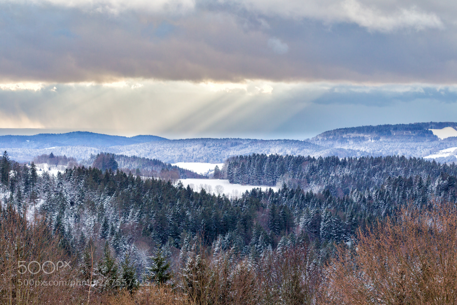 Canon EOS-1D Mark IV sample photo. Bavarian forest photography