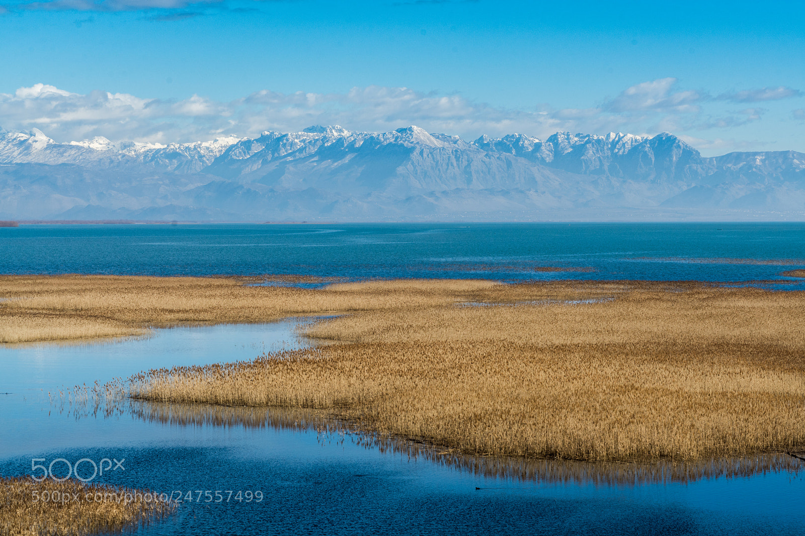 Nikon D7100 sample photo. Skadar lake photography