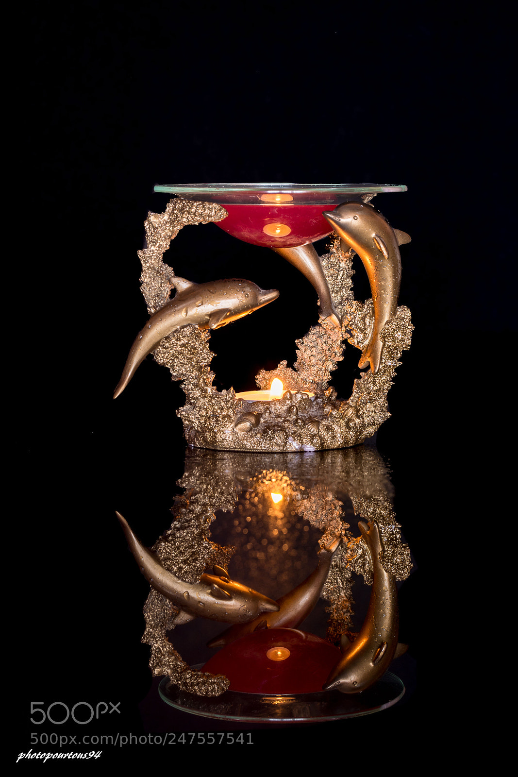 Nikon D7100 sample photo. Diffuseur odeur dauphin photography