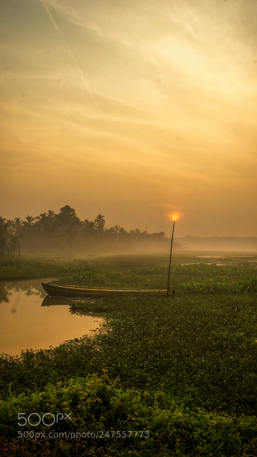 Nikon D3200 sample photo. Morning photography