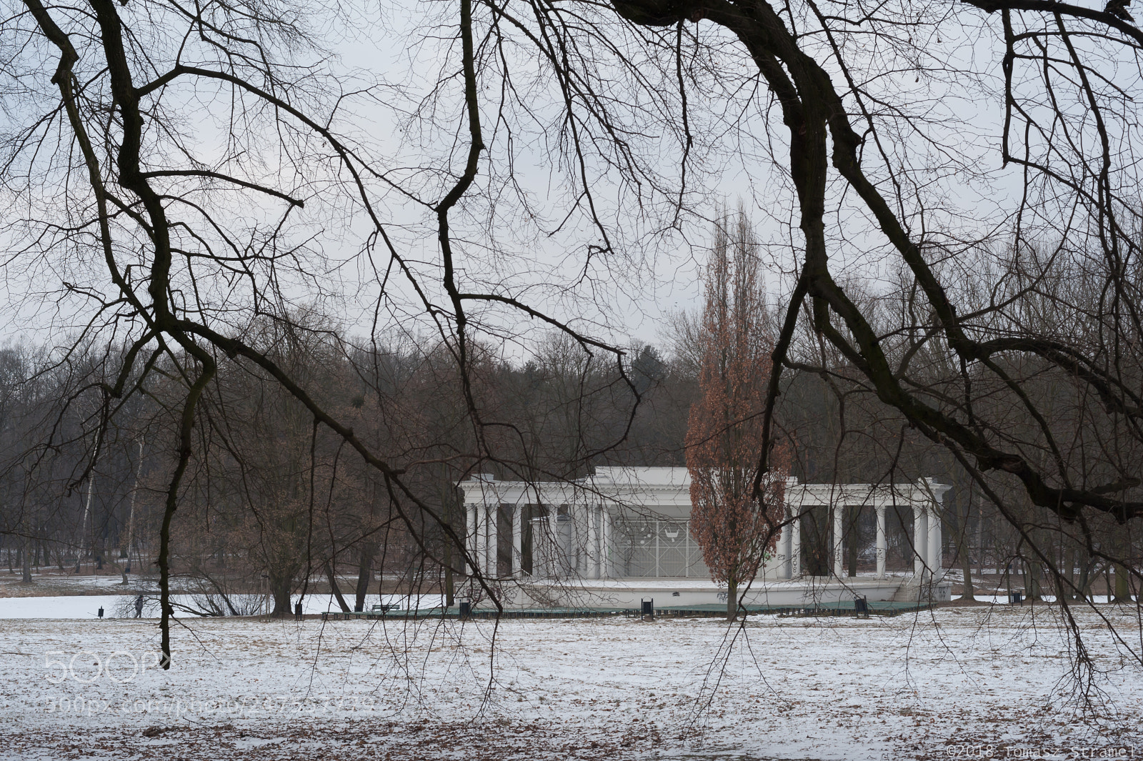 Nikon D700 sample photo. The winter recess photography
