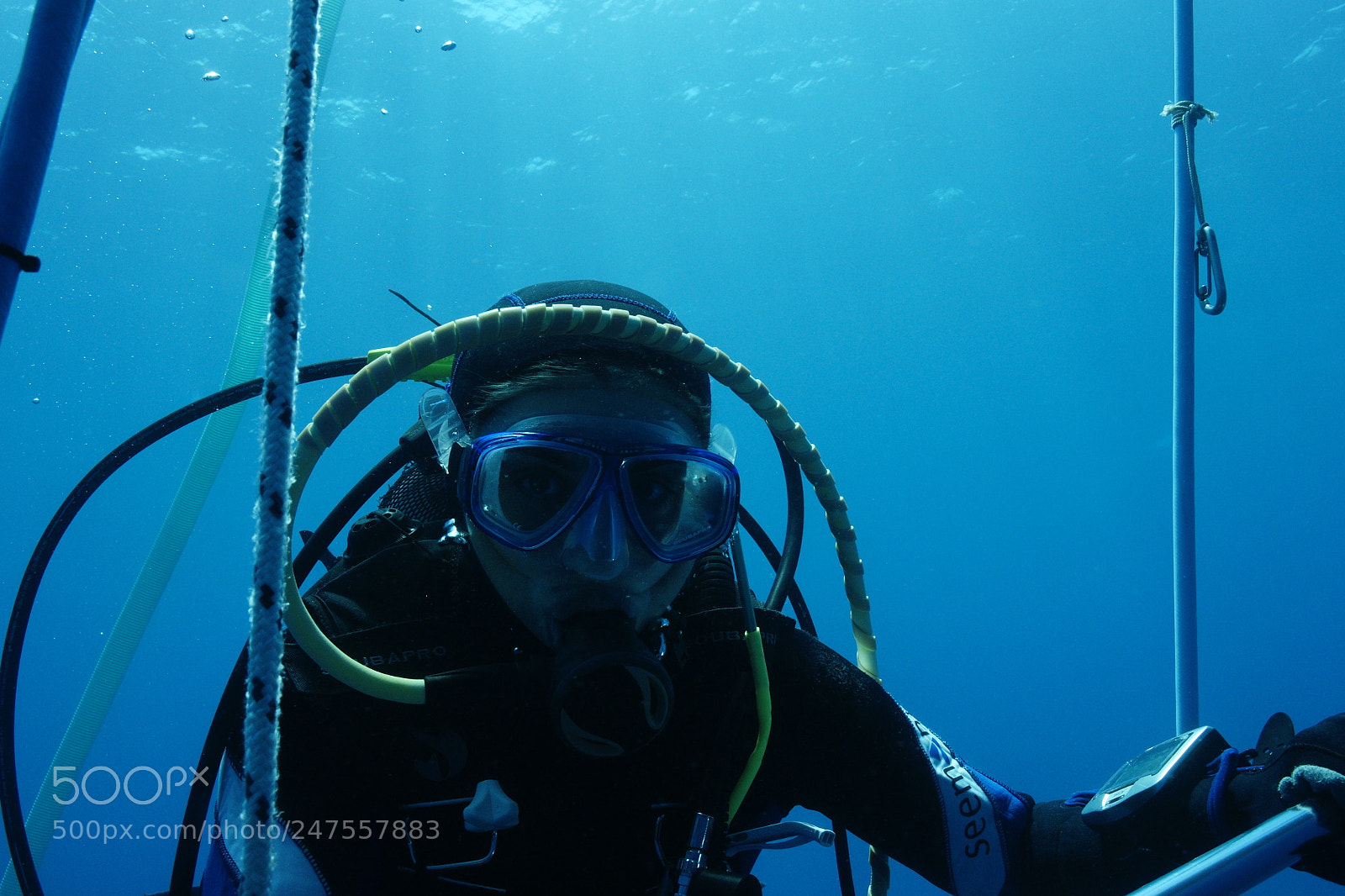 Sony Alpha DSLR-A700 sample photo. Diving photography