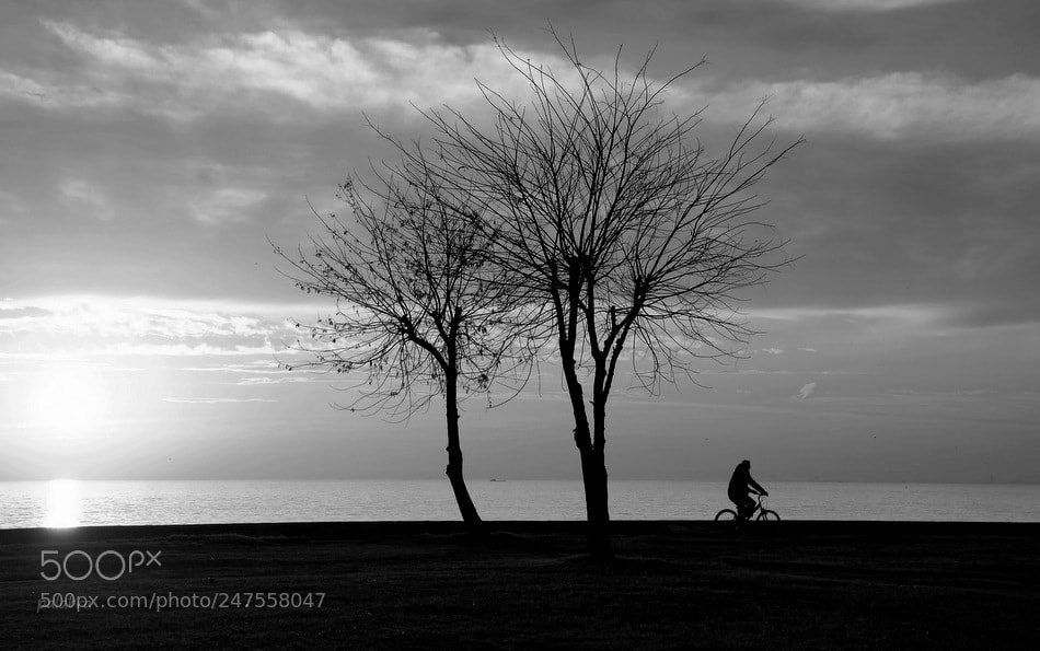 Samsung NX300 sample photo. ... photography