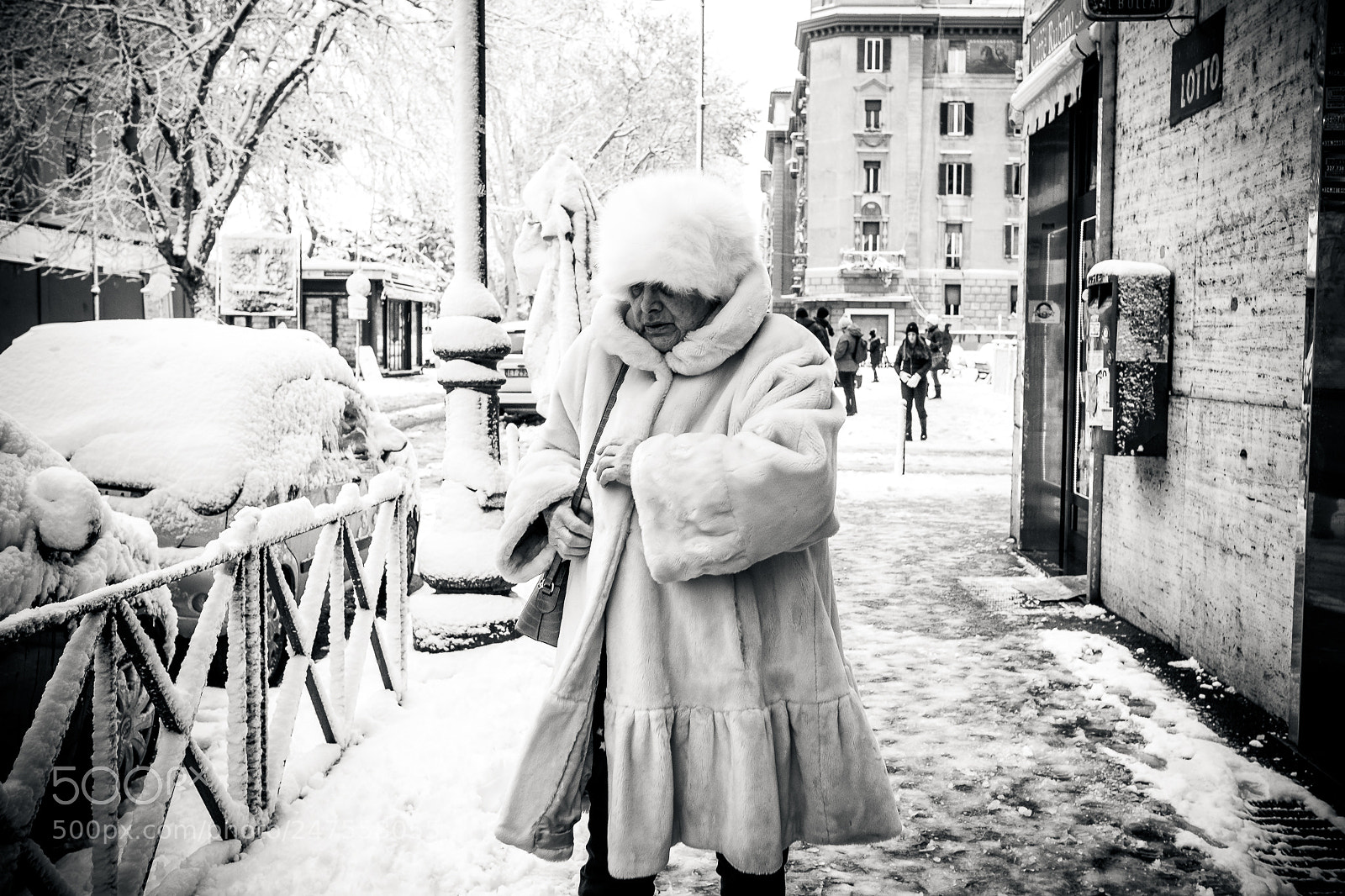 Fujifilm X-T2 sample photo. The snow queen photography