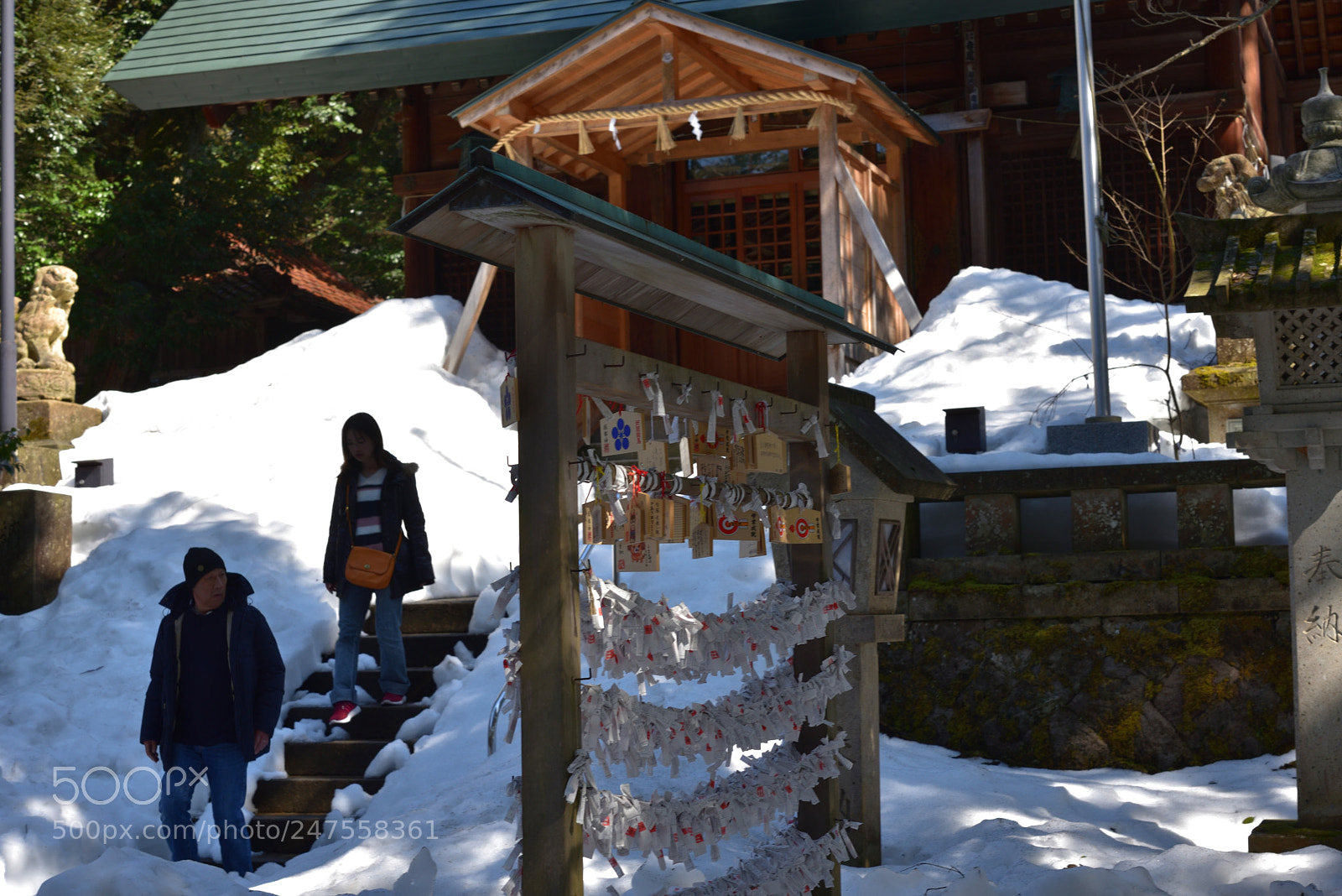 Nikon AF-S Micro-Nikkor 60mm F2.8G ED sample photo. 機織の神の天羽槌雄神（あめのはづちのおのかみ）を祀る服部神社　山代温泉 photography