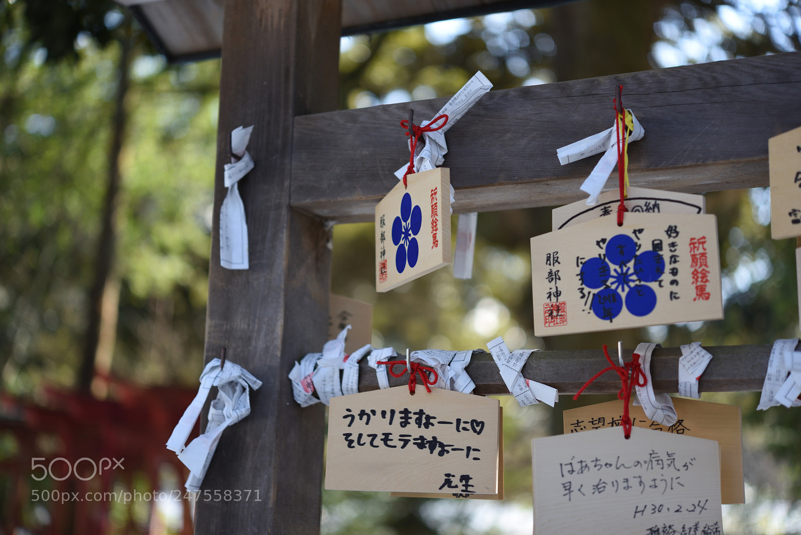 Nikon AF-S Micro-Nikkor 60mm F2.8G ED sample photo. 機織の神の天羽槌雄神（あめのはづちのおのかみ）を祀る服部神社　山代温泉 photography