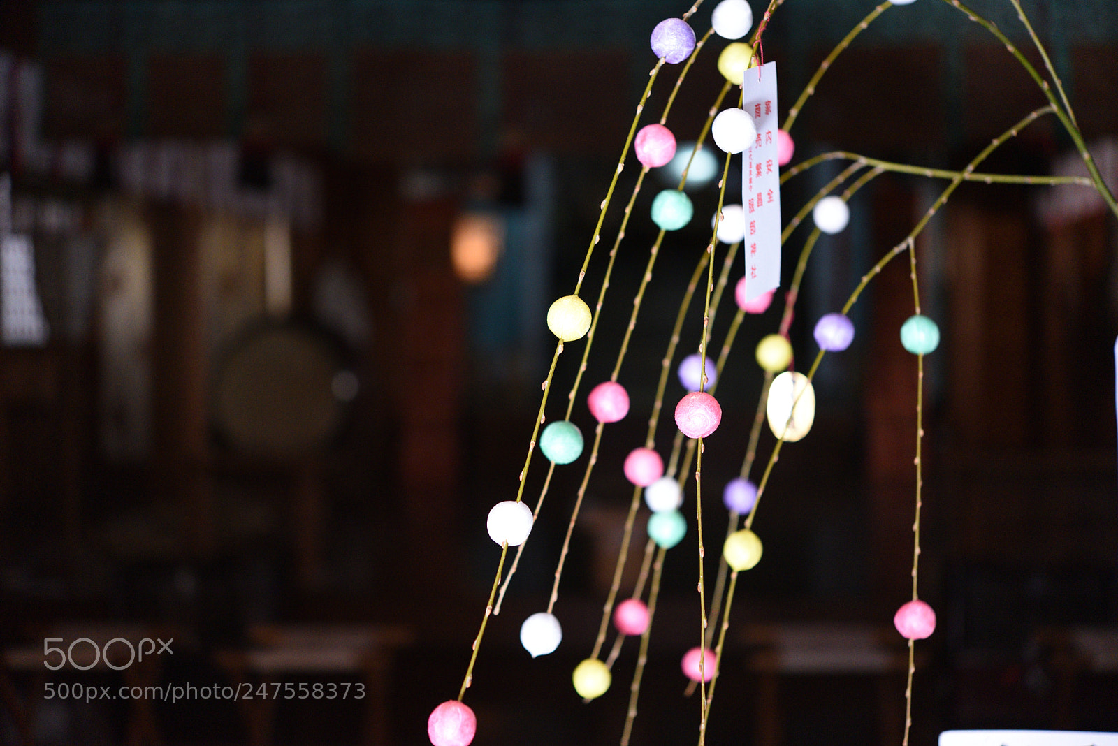 Nikon AF-S Micro-Nikkor 60mm F2.8G ED sample photo. 機織の神の天羽槌雄神（あめのはづちのおのかみ）を祀る服部神社　山代温泉 photography