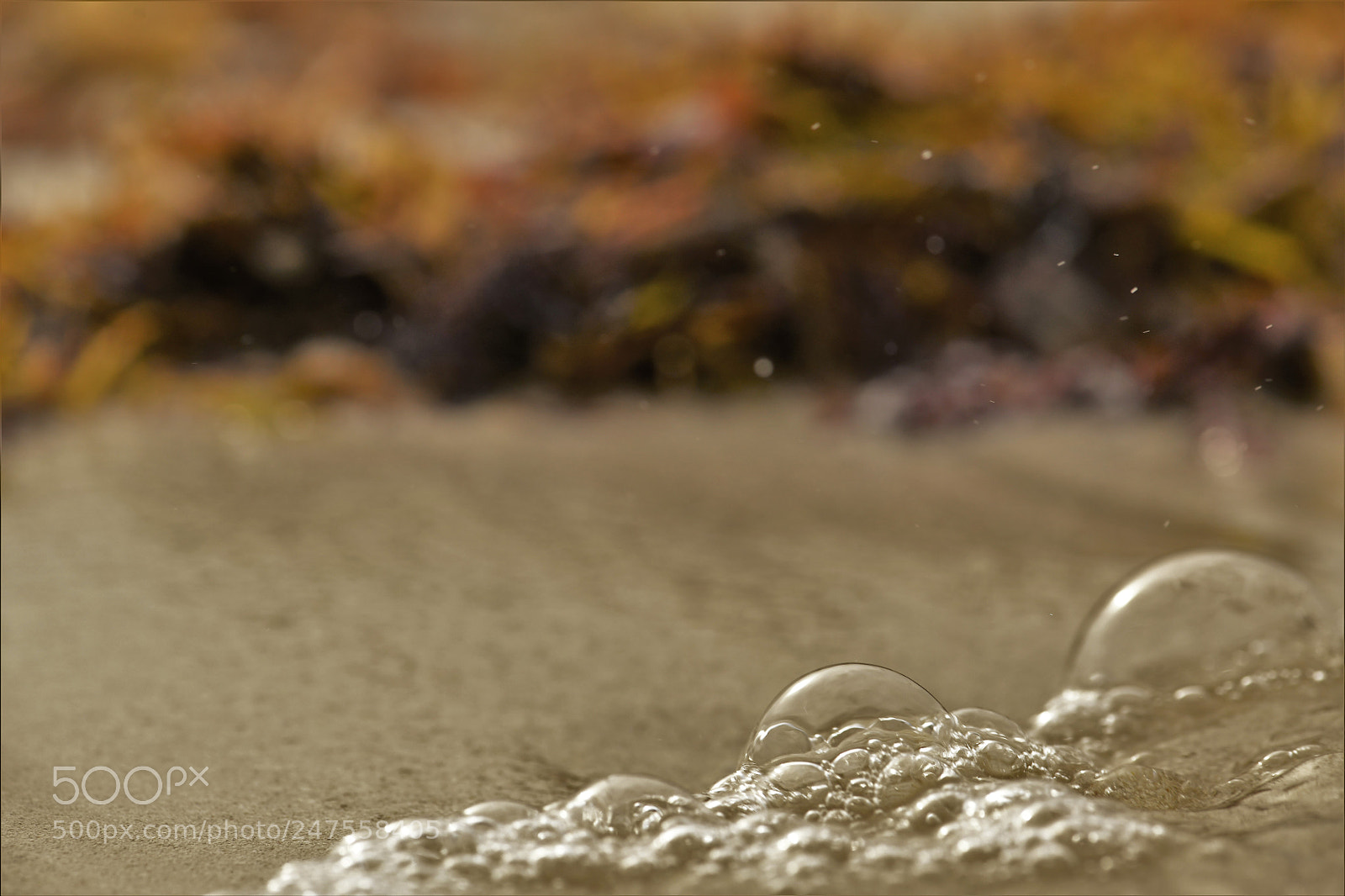 Nikon D850 sample photo. Sea foam photography